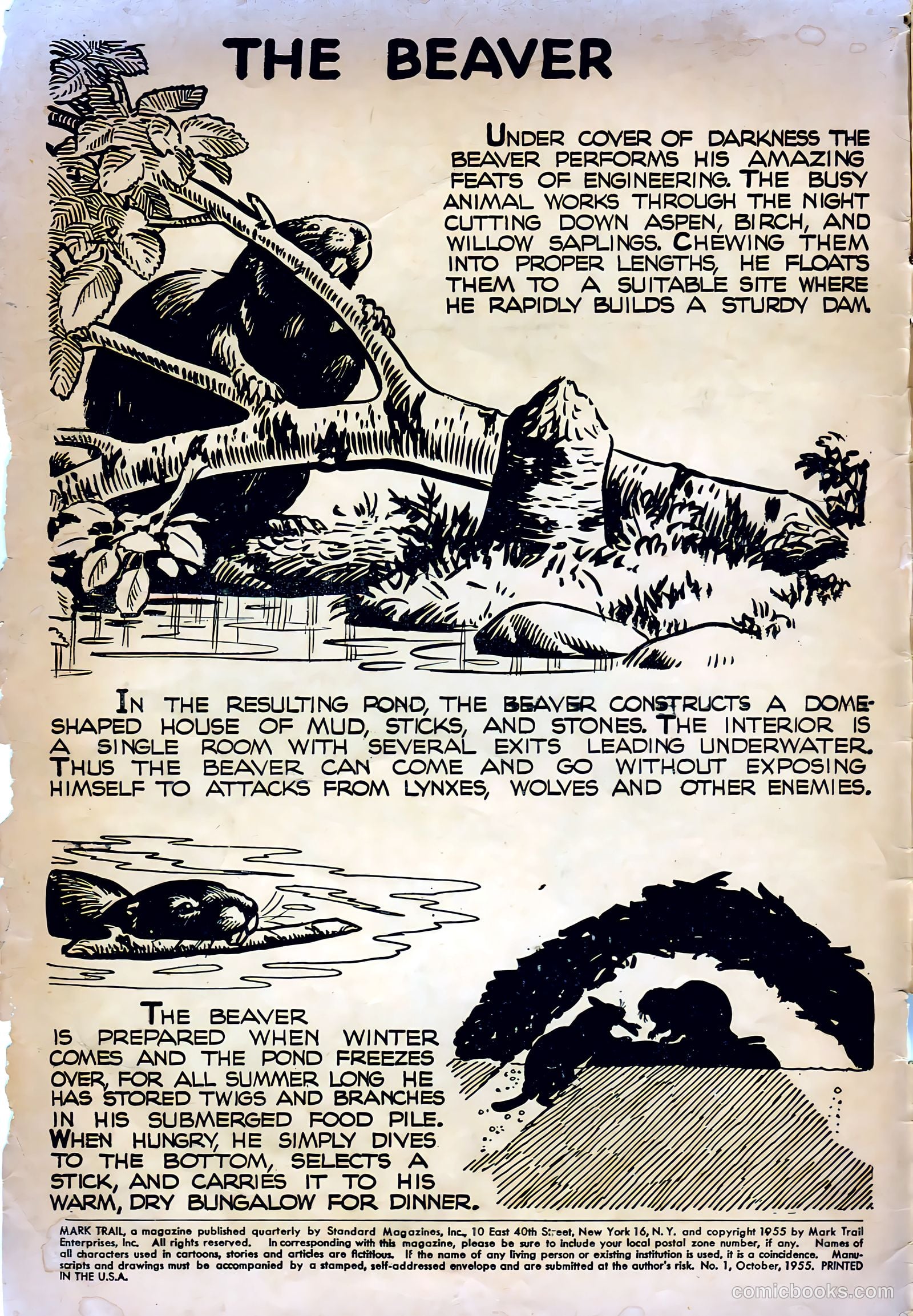 Mark Trail #1 — page 2 of 36