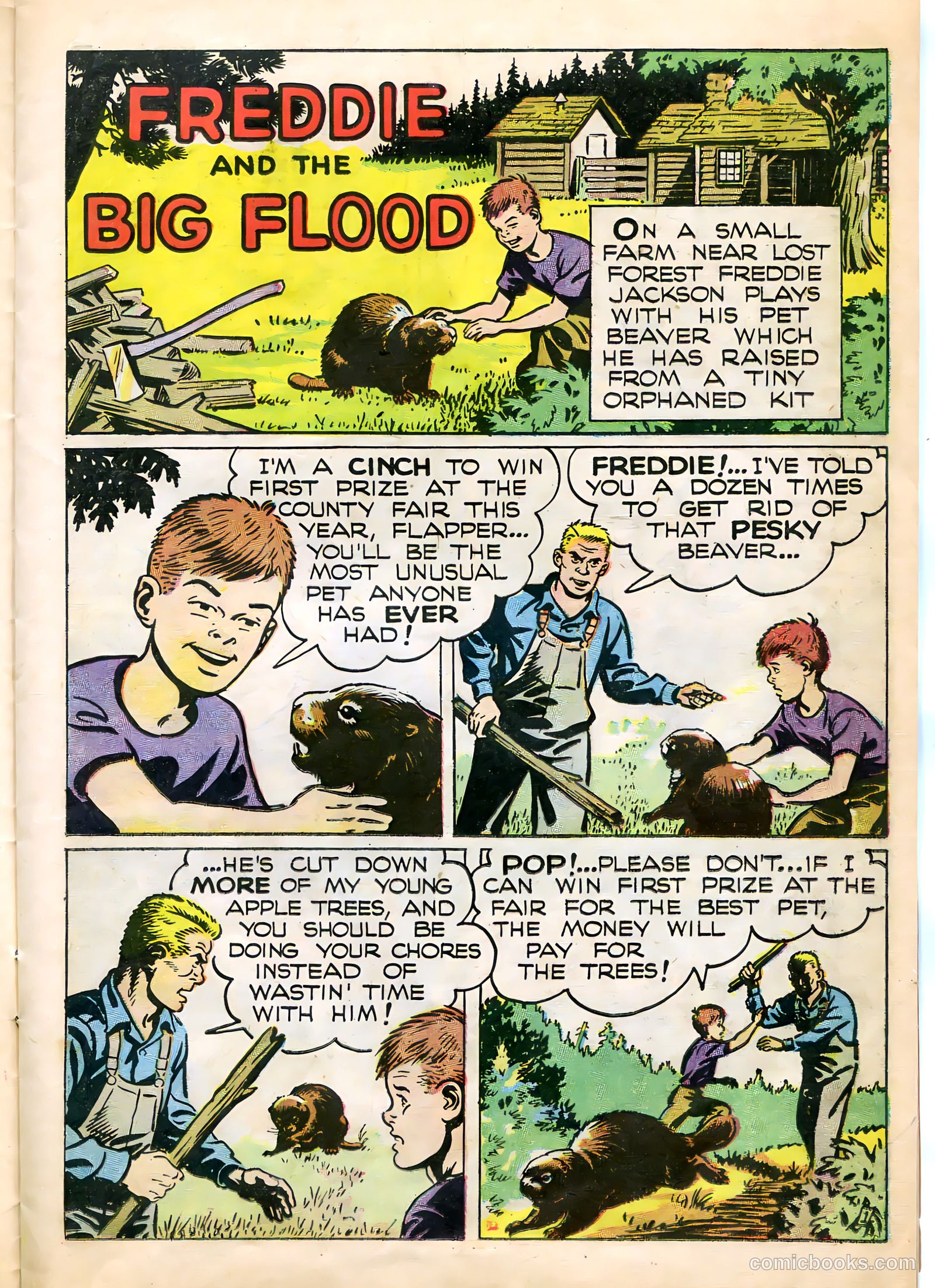 Mark Trail #1 — page 11 of 36
