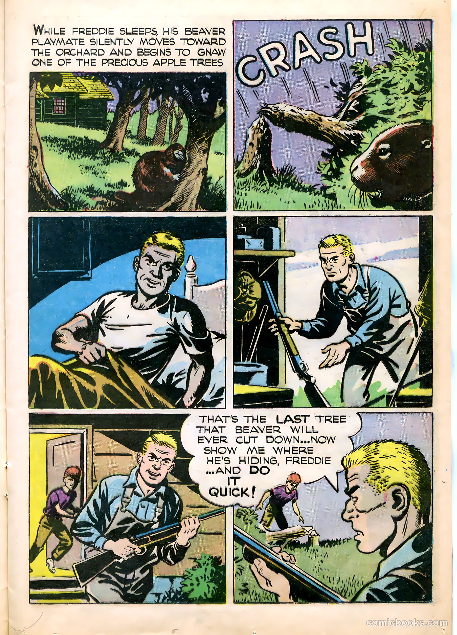 Mark Trail #1 — page 13 of 36