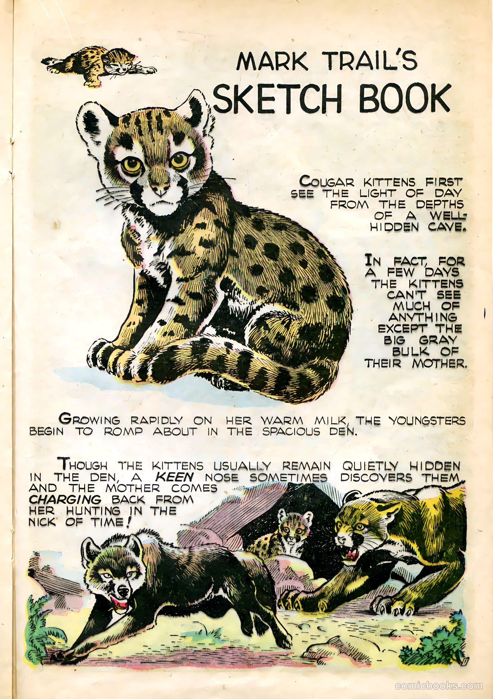 Mark Trail #1 — page 21 of 36