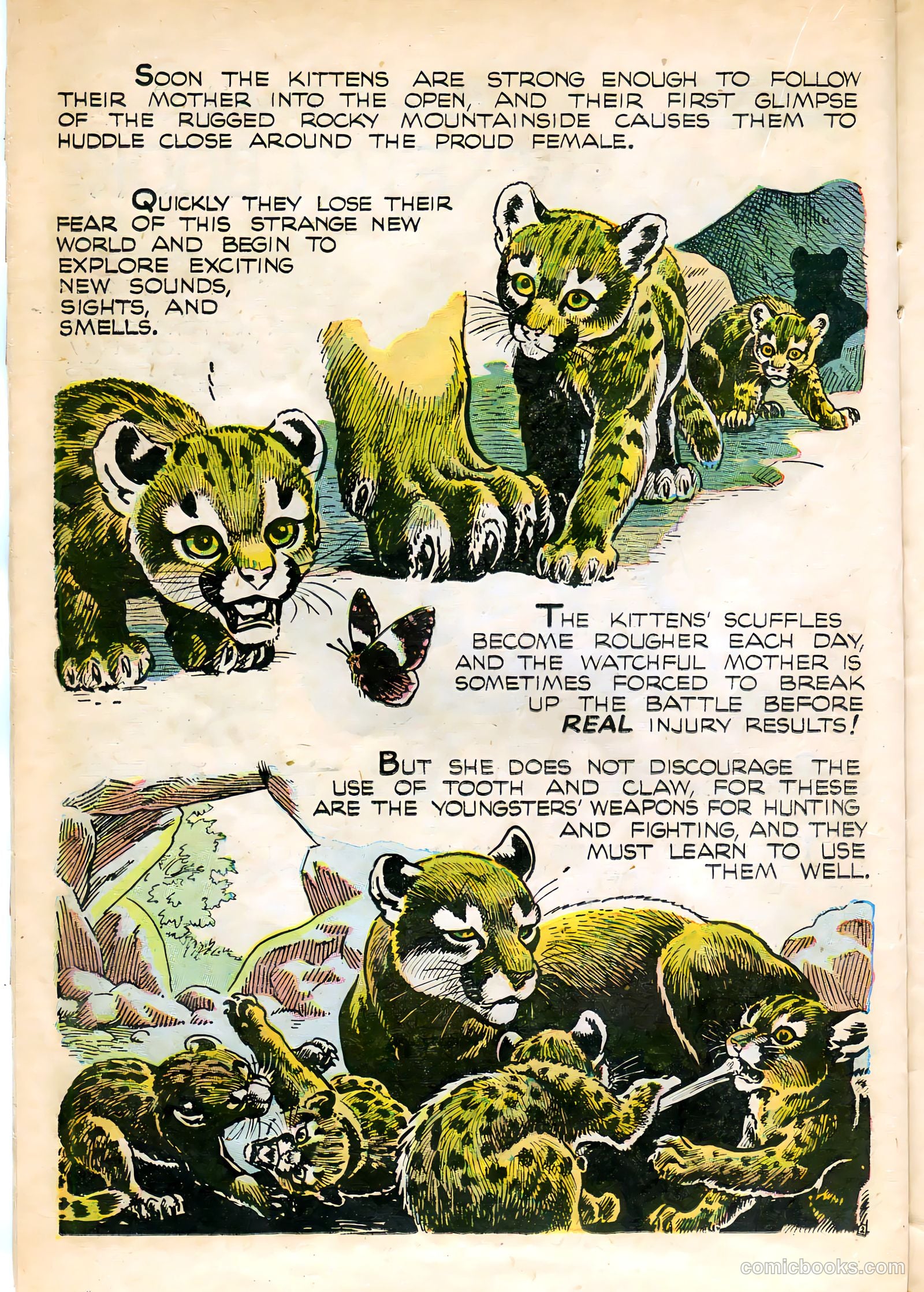 Mark Trail #1 — page 22 of 36