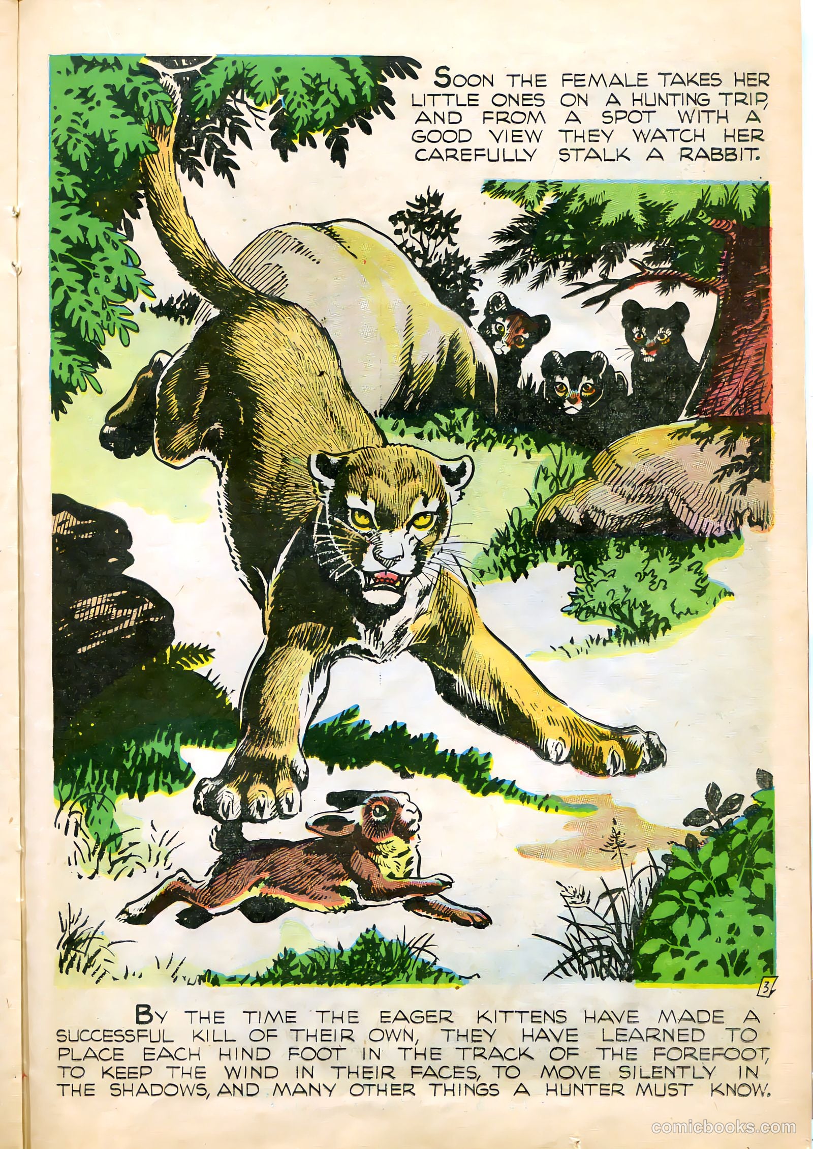 Mark Trail #1 — page 23 of 36