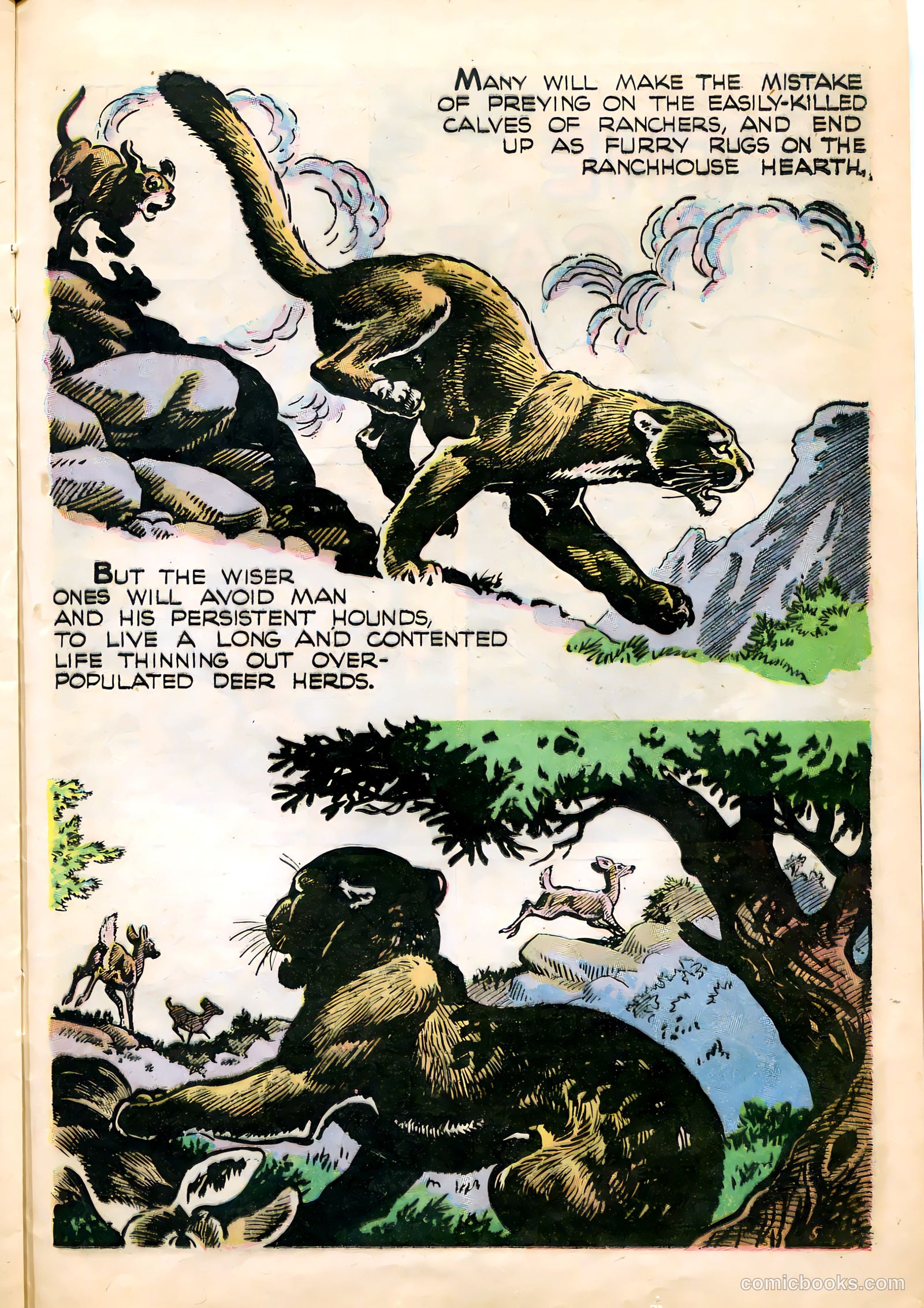 Mark Trail #1 — page 25 of 36