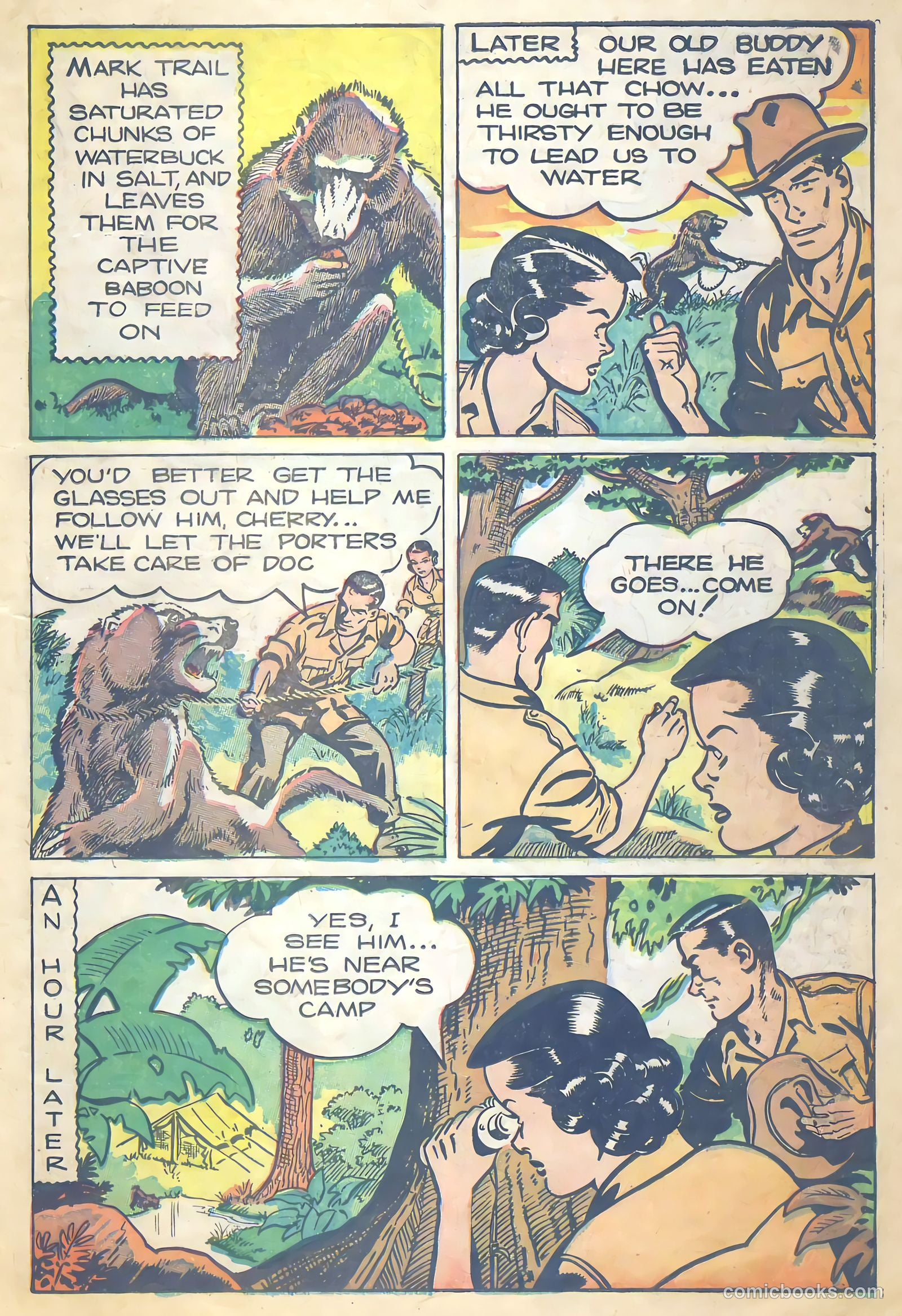 Mark Trail on Safari #5 — page 19 of 36
