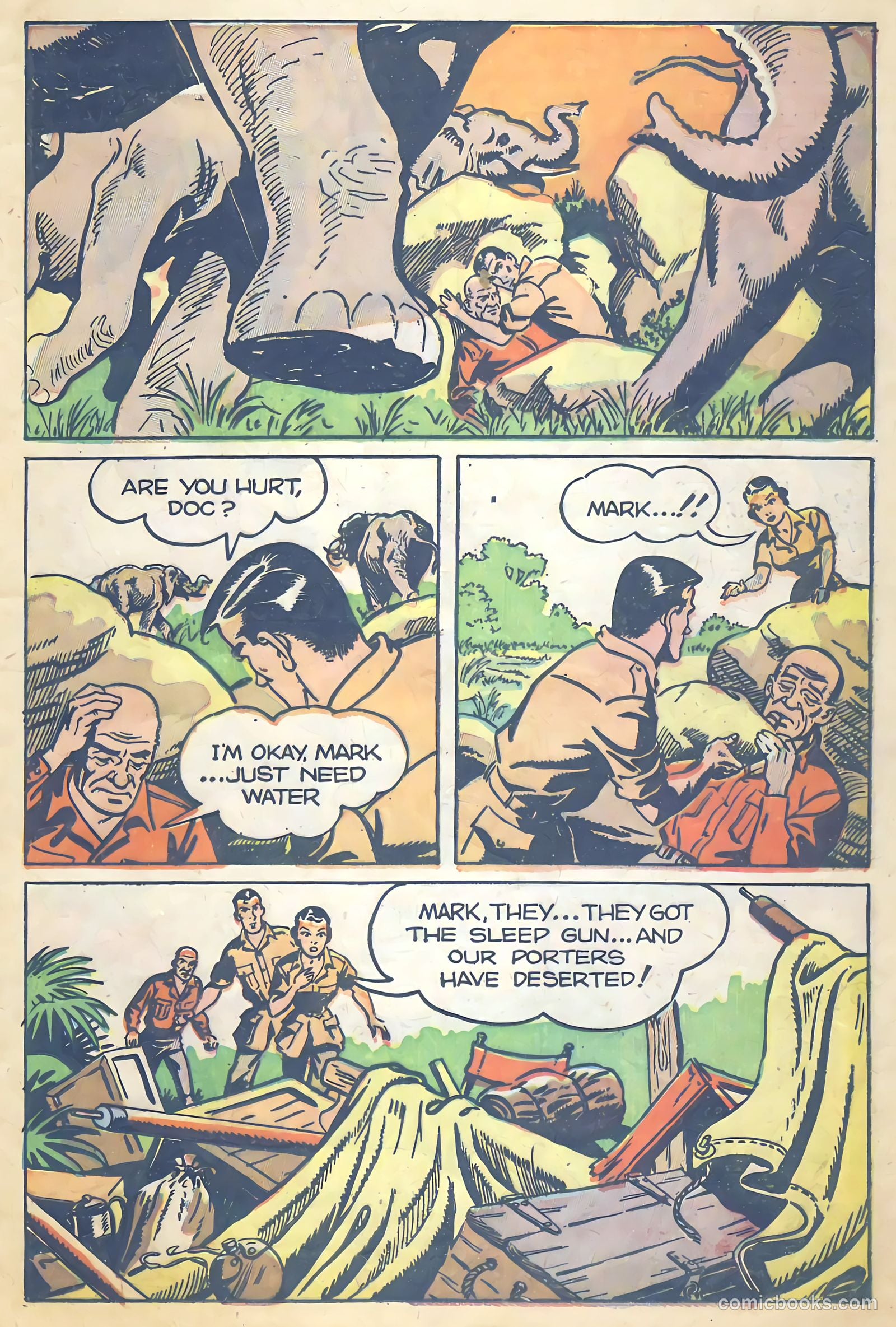 Mark Trail on Safari #5 — page 25 of 36