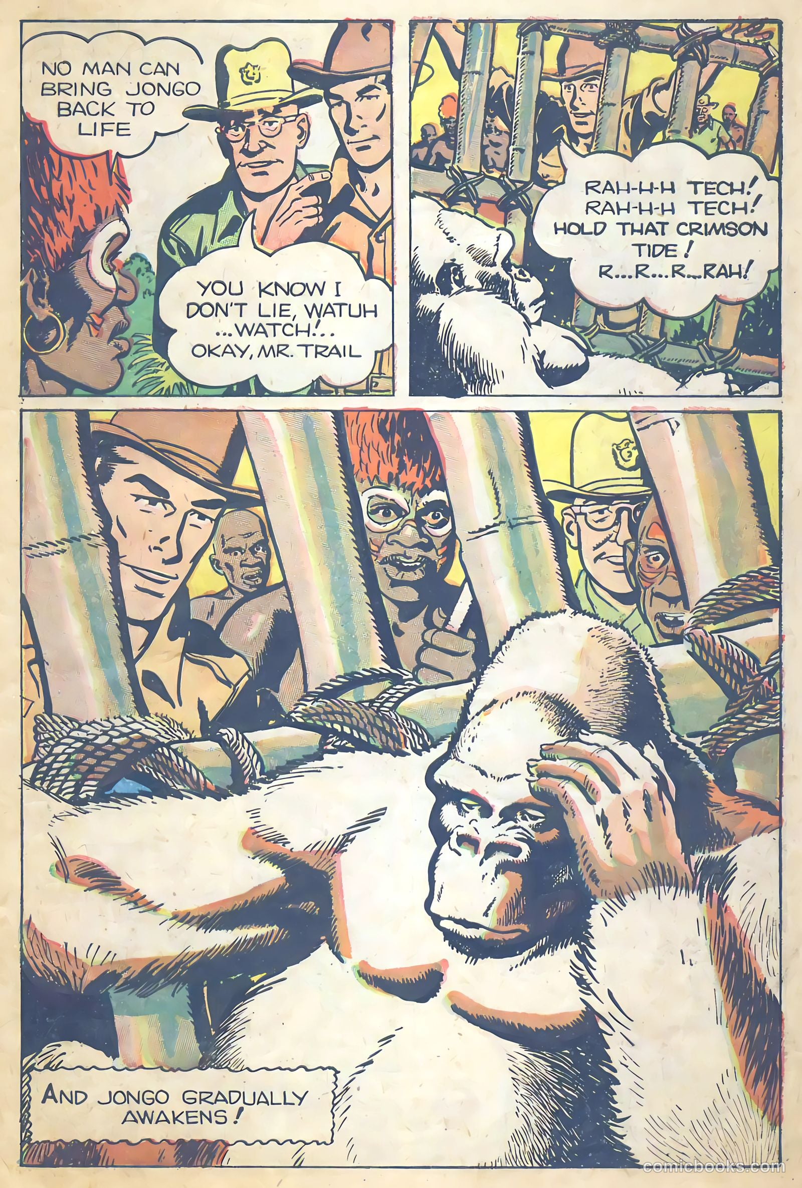 Mark Trail on Safari #5 — page 31 of 36