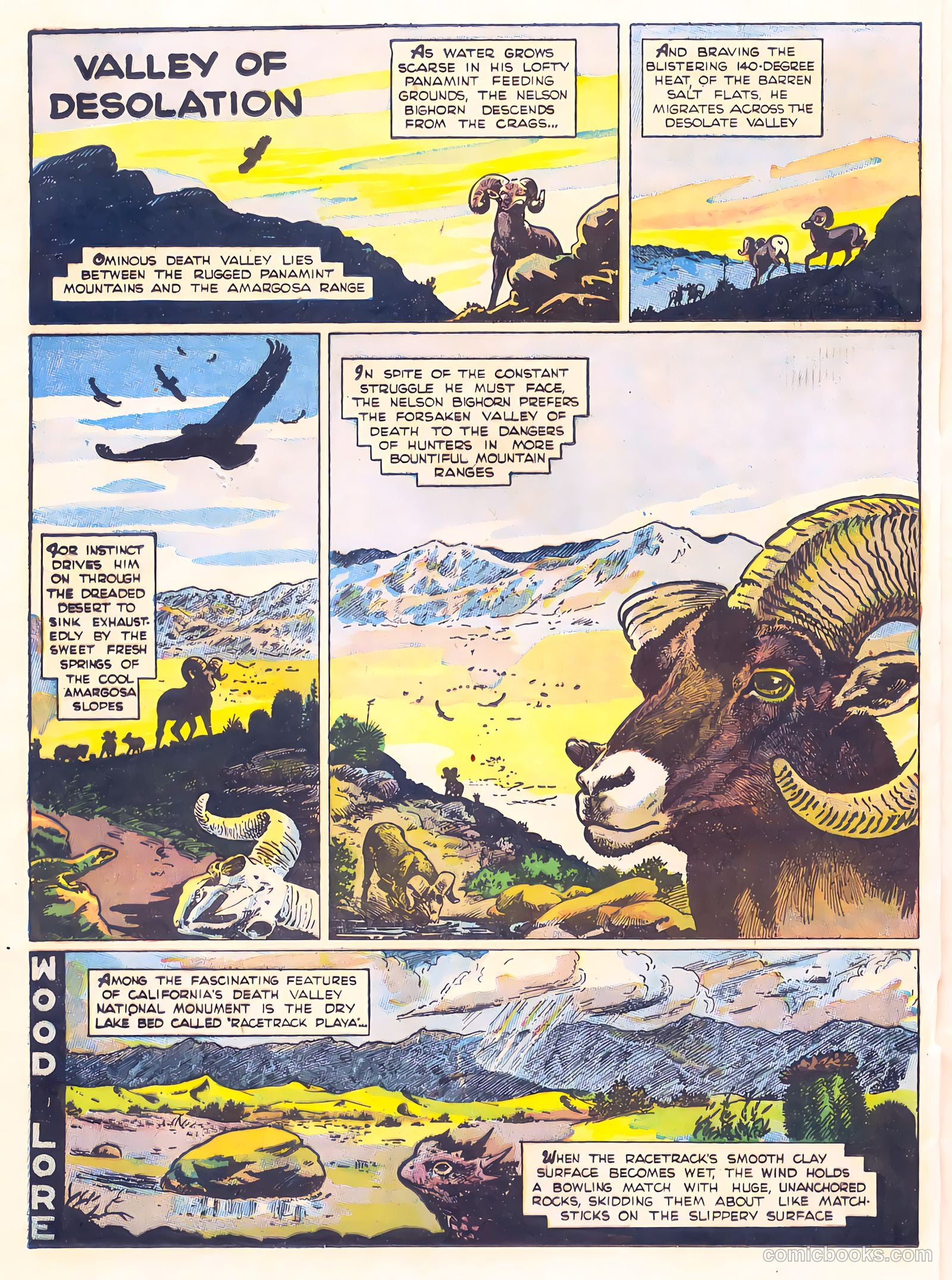 Mark Trail's Adventure Book of Nature #1 — page 4 of 84