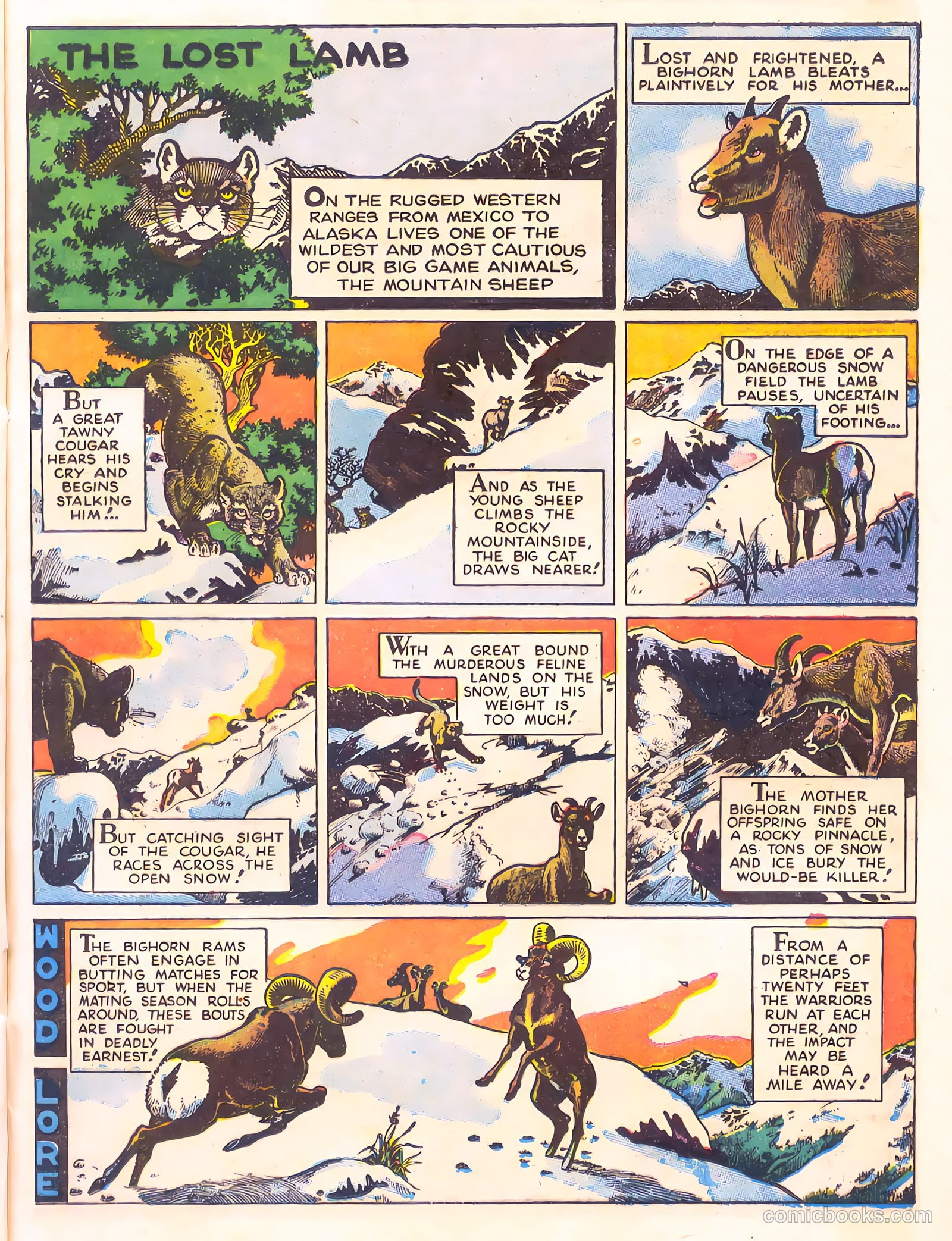 Mark Trail's Adventure Book of Nature #1 — page 5 of 84