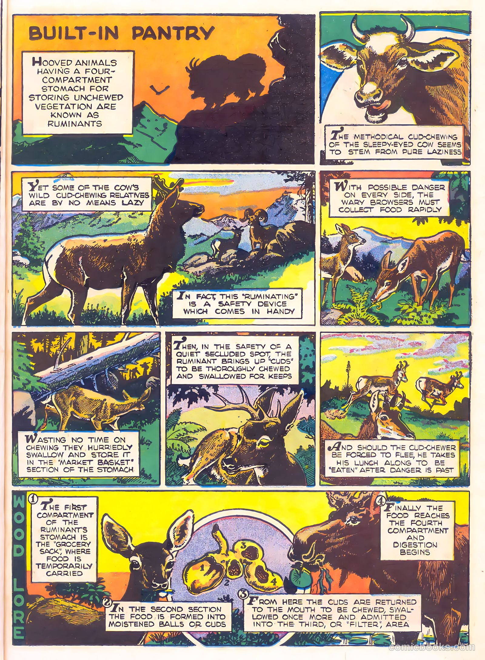 Mark Trail's Adventure Book of Nature #1 — page 7 of 84