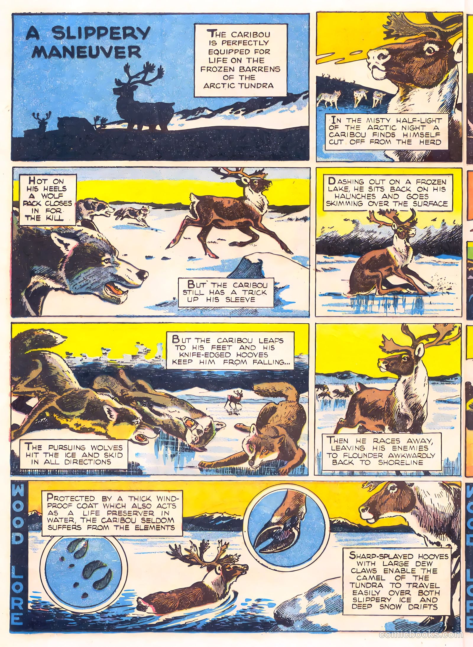 Mark Trail's Adventure Book of Nature #1 — page 8 of 84