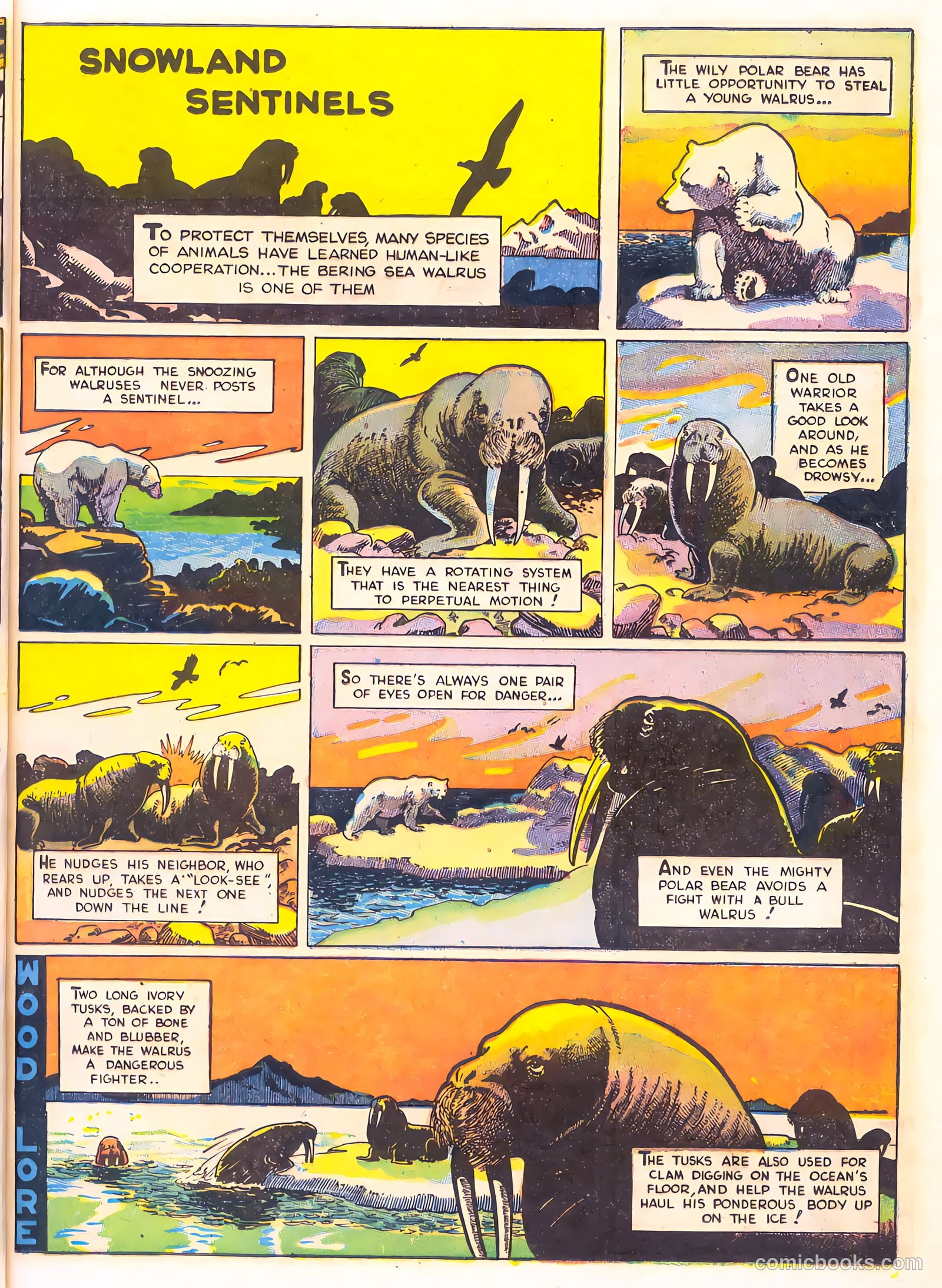 Mark Trail's Adventure Book of Nature #1 — page 9 of 84