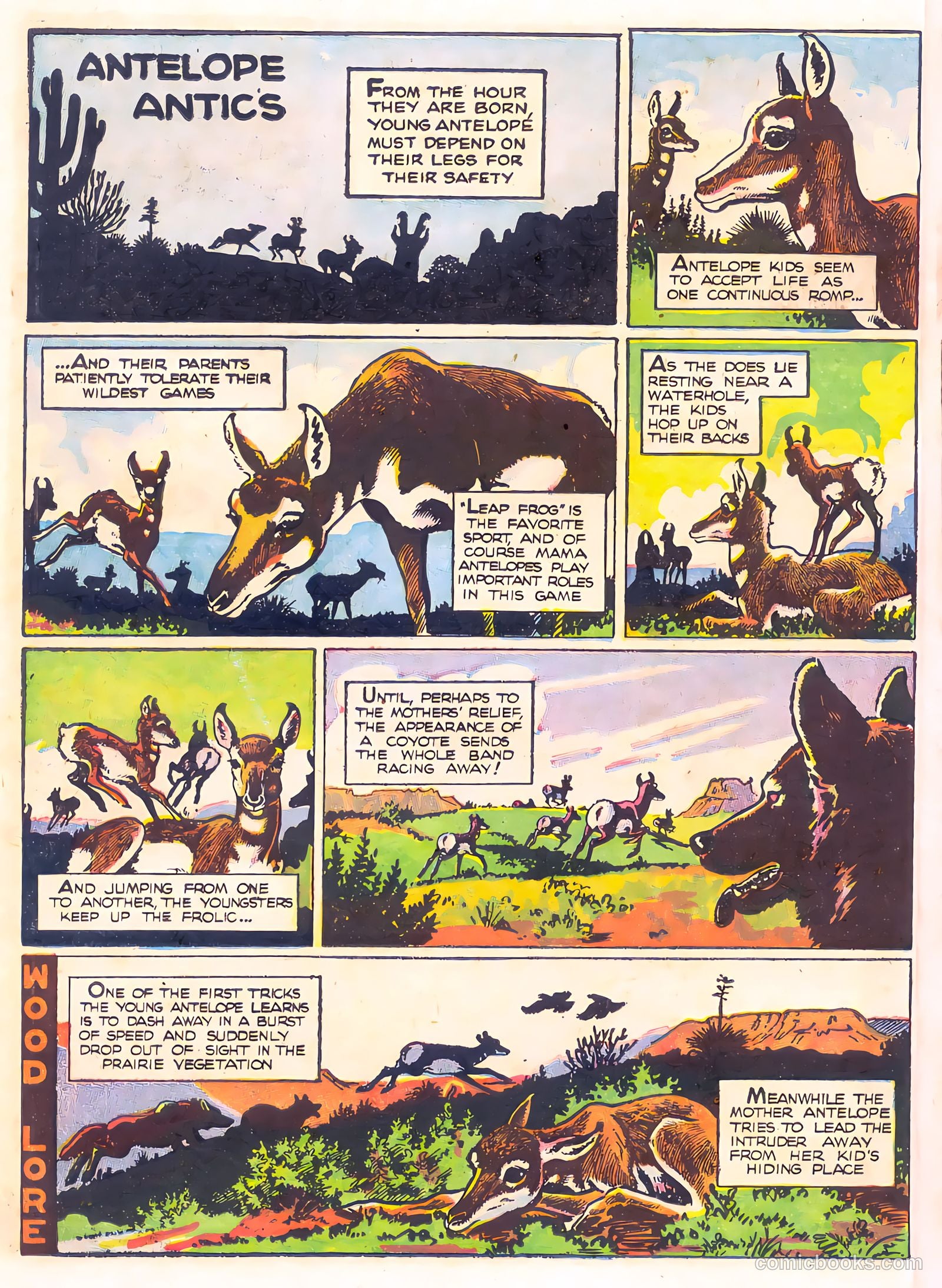 Mark Trail's Adventure Book of Nature #1 — page 10 of 84