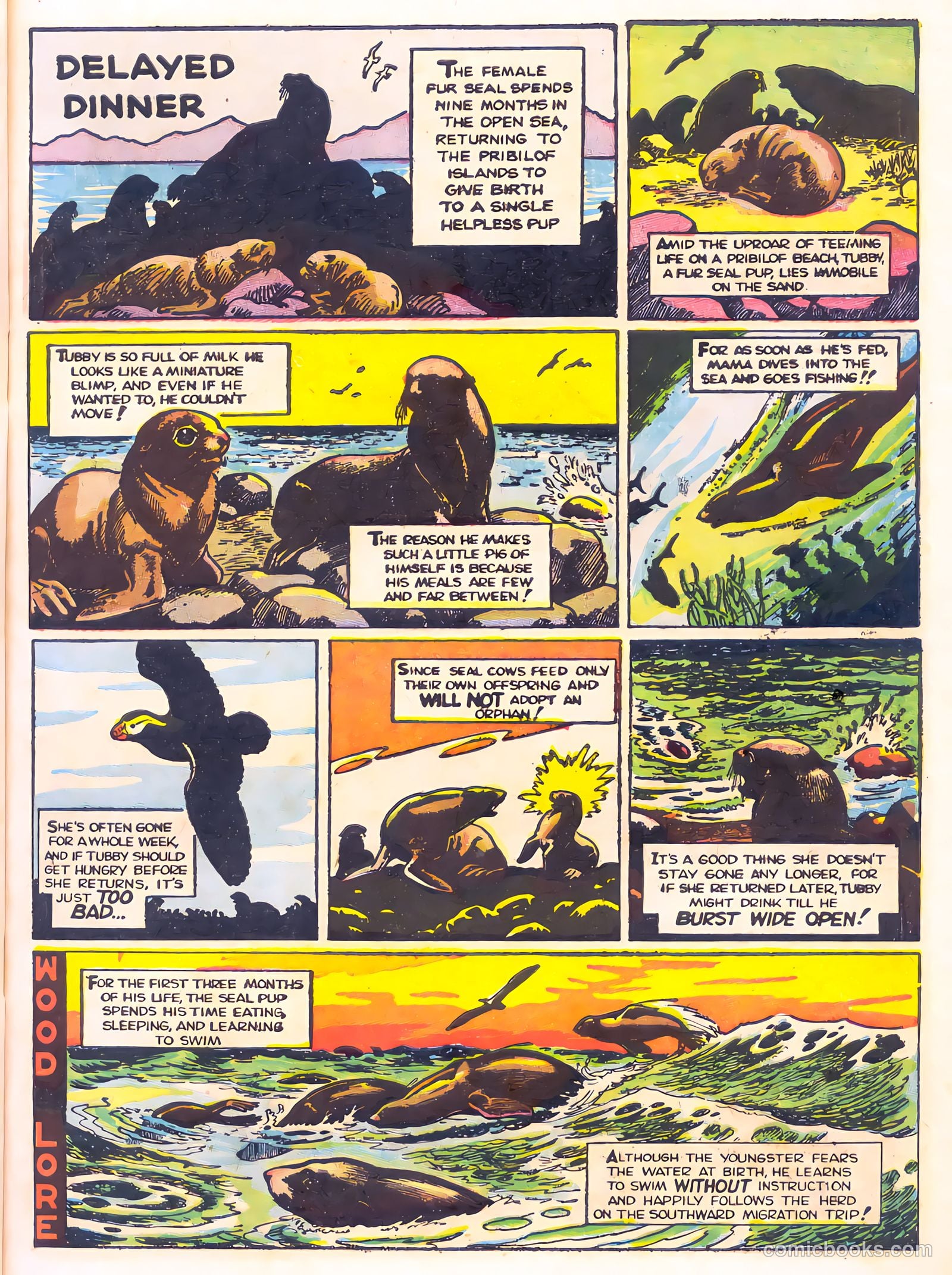 Mark Trail's Adventure Book of Nature #1 — page 11 of 84