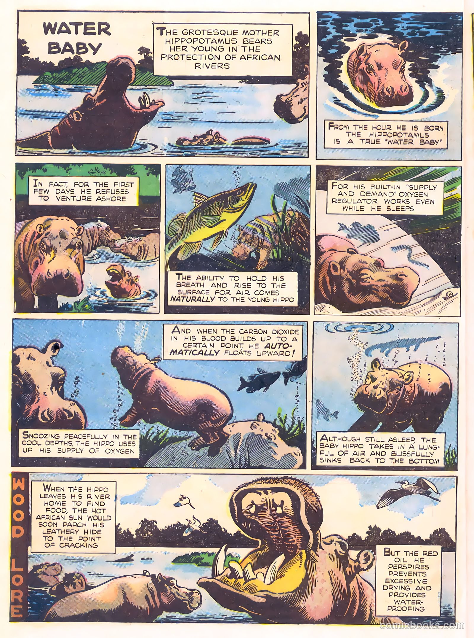 Mark Trail's Adventure Book of Nature #1 — page 12 of 84