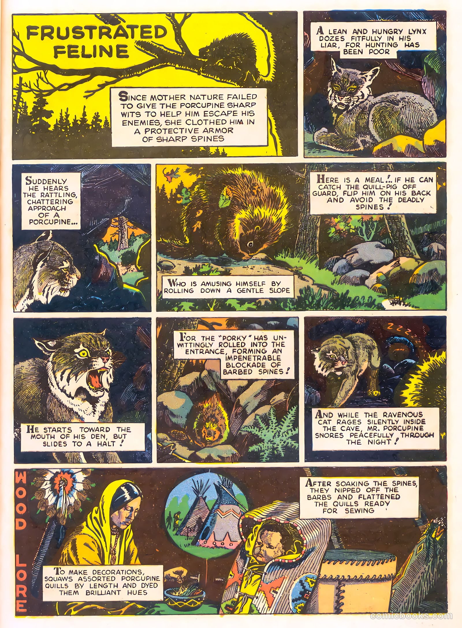 Mark Trail's Adventure Book of Nature #1 — page 13 of 84