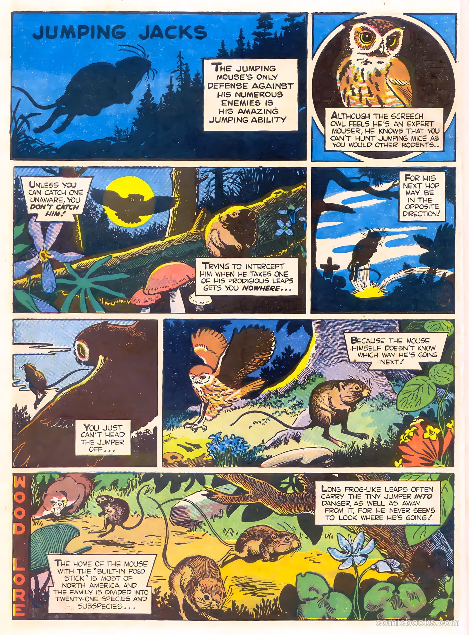 Mark Trail's Adventure Book of Nature #1 — page 14 of 84