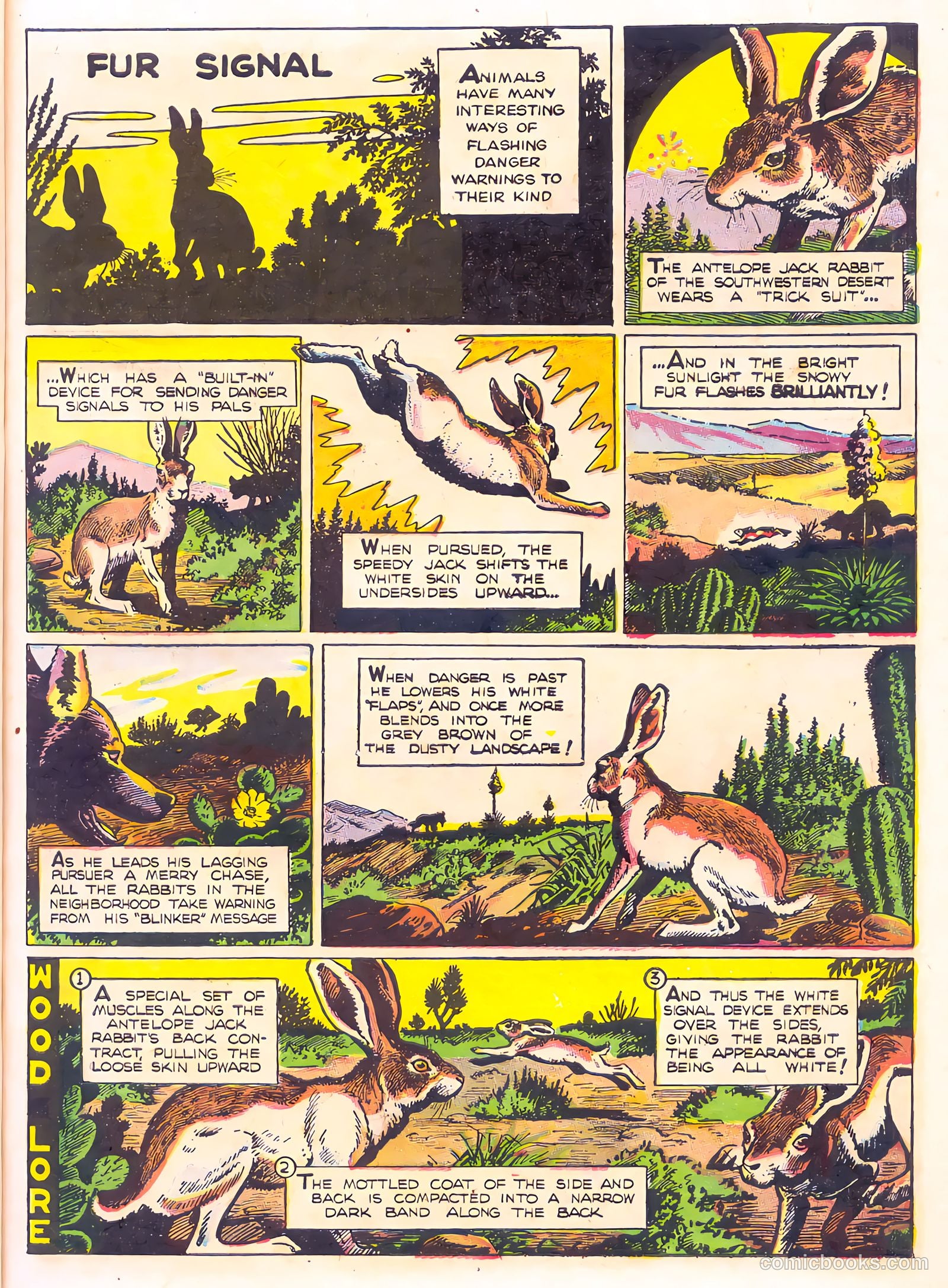 Mark Trail's Adventure Book of Nature #1 — page 15 of 84