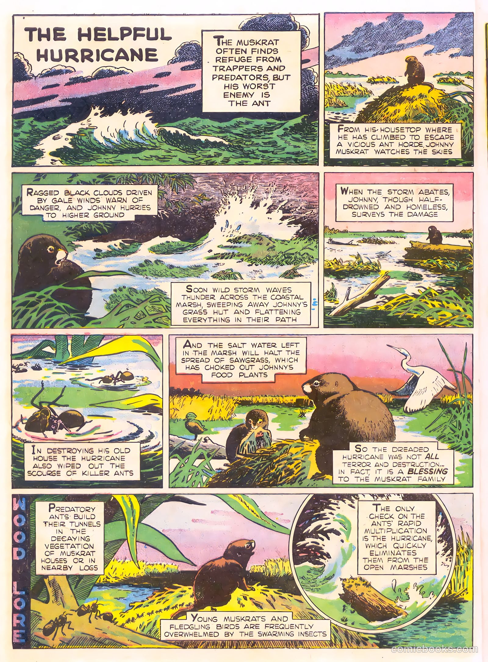 Mark Trail's Adventure Book of Nature #1 — page 16 of 84