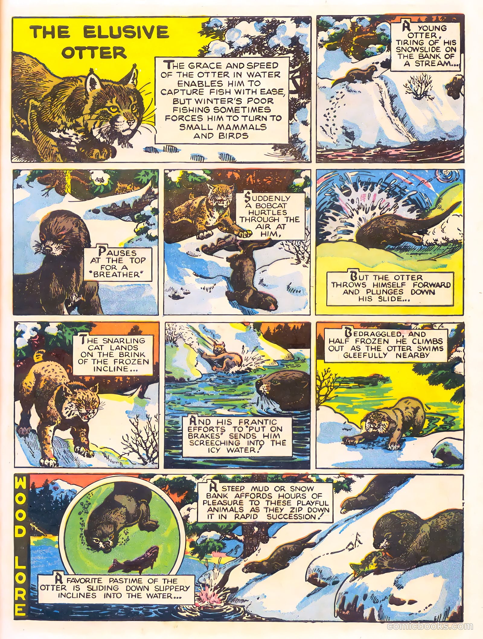 Mark Trail's Adventure Book of Nature #1 — page 17 of 84
