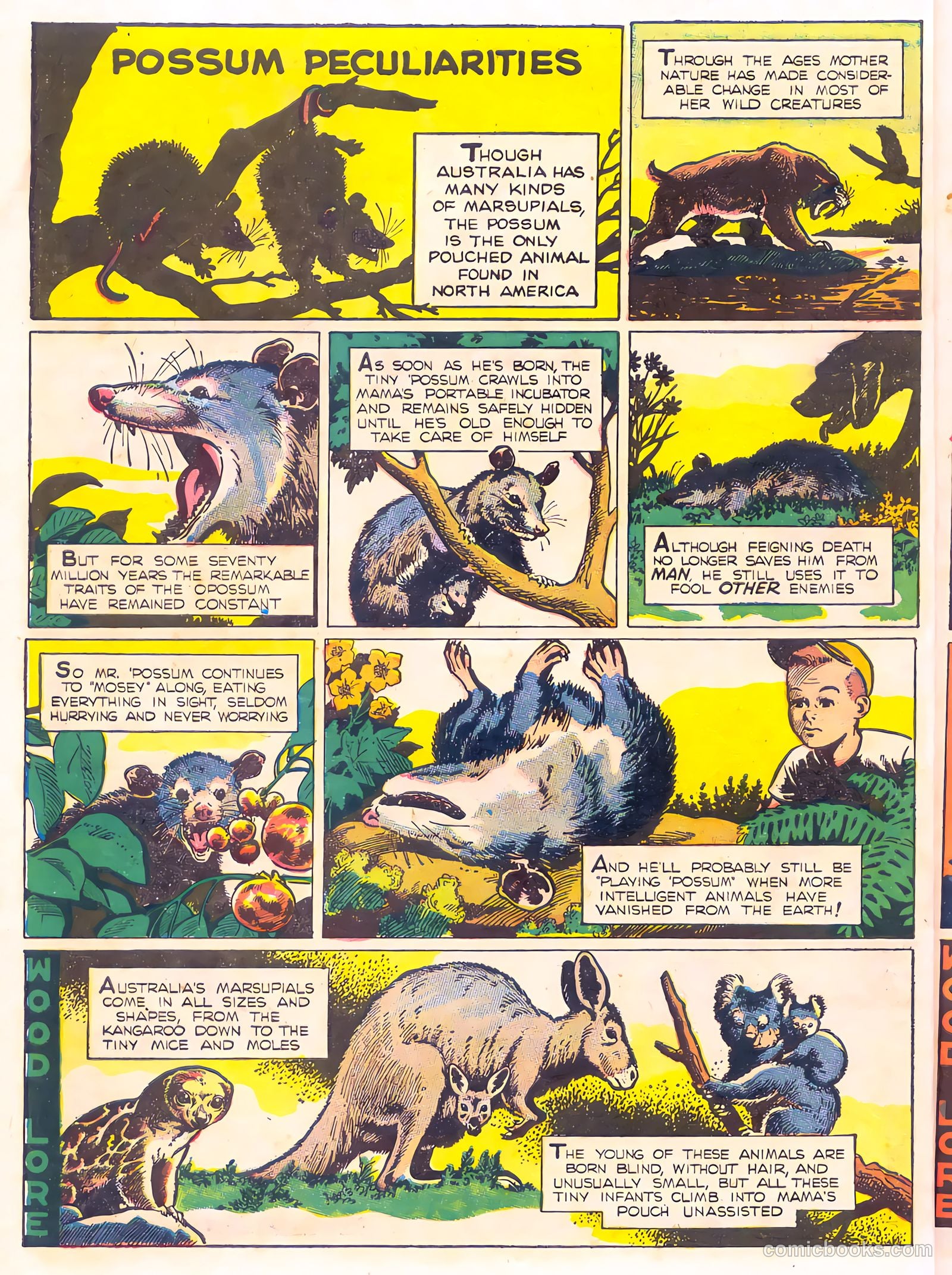 Mark Trail's Adventure Book of Nature #1 — page 18 of 84