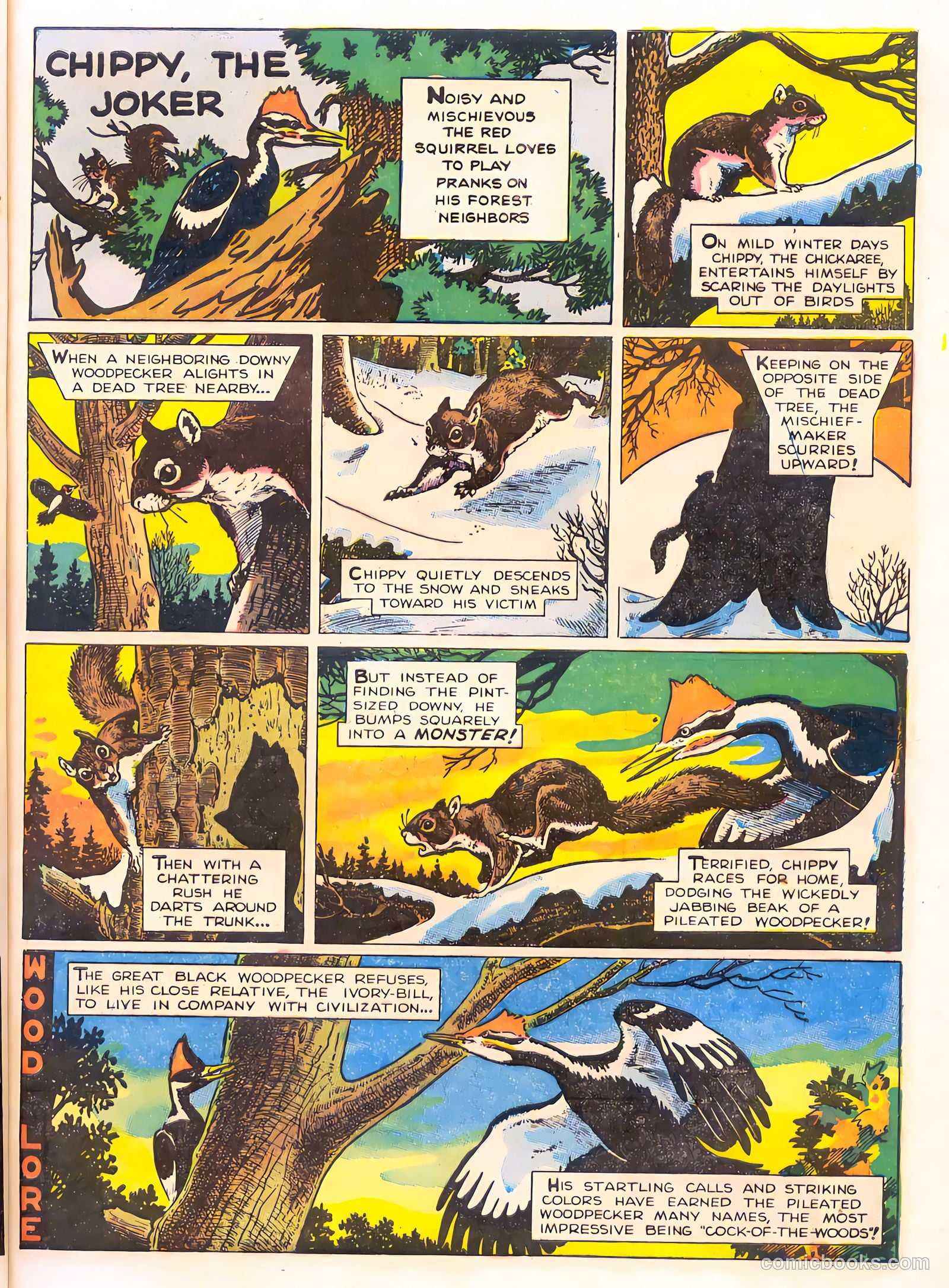 Mark Trail's Adventure Book of Nature #1 — page 21 of 84