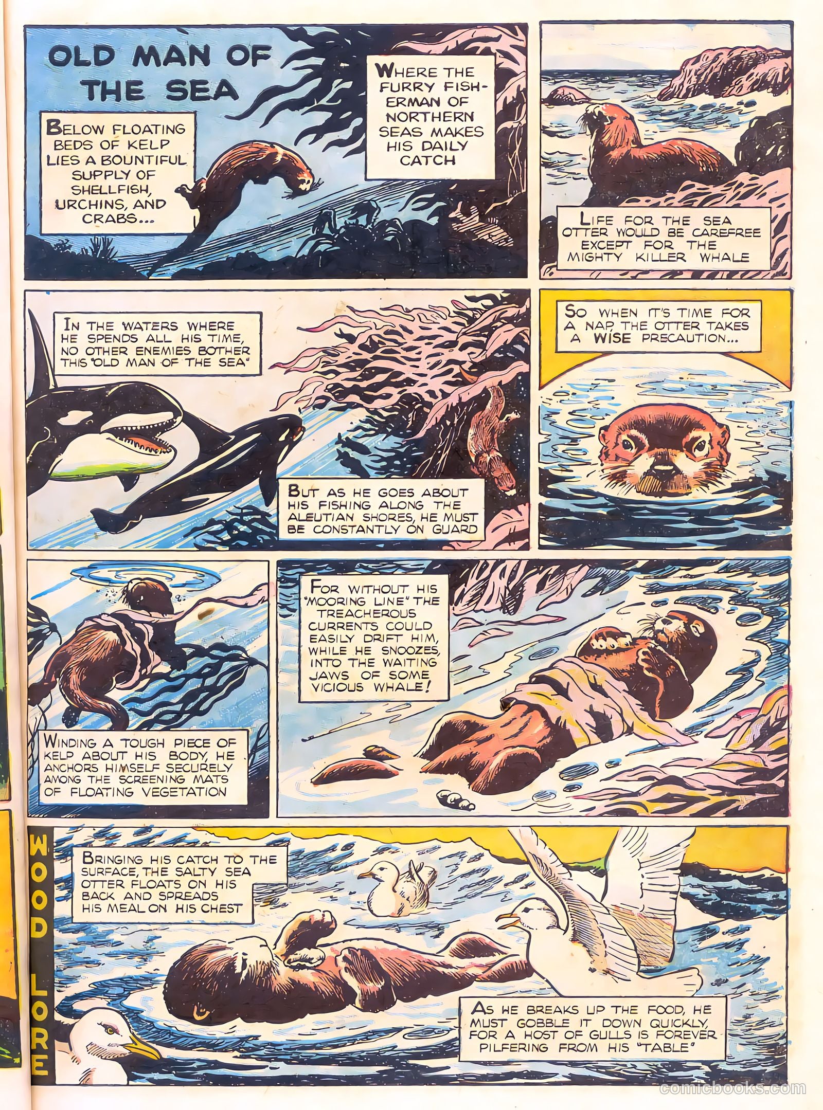 Mark Trail's Adventure Book of Nature #1 — page 23 of 84