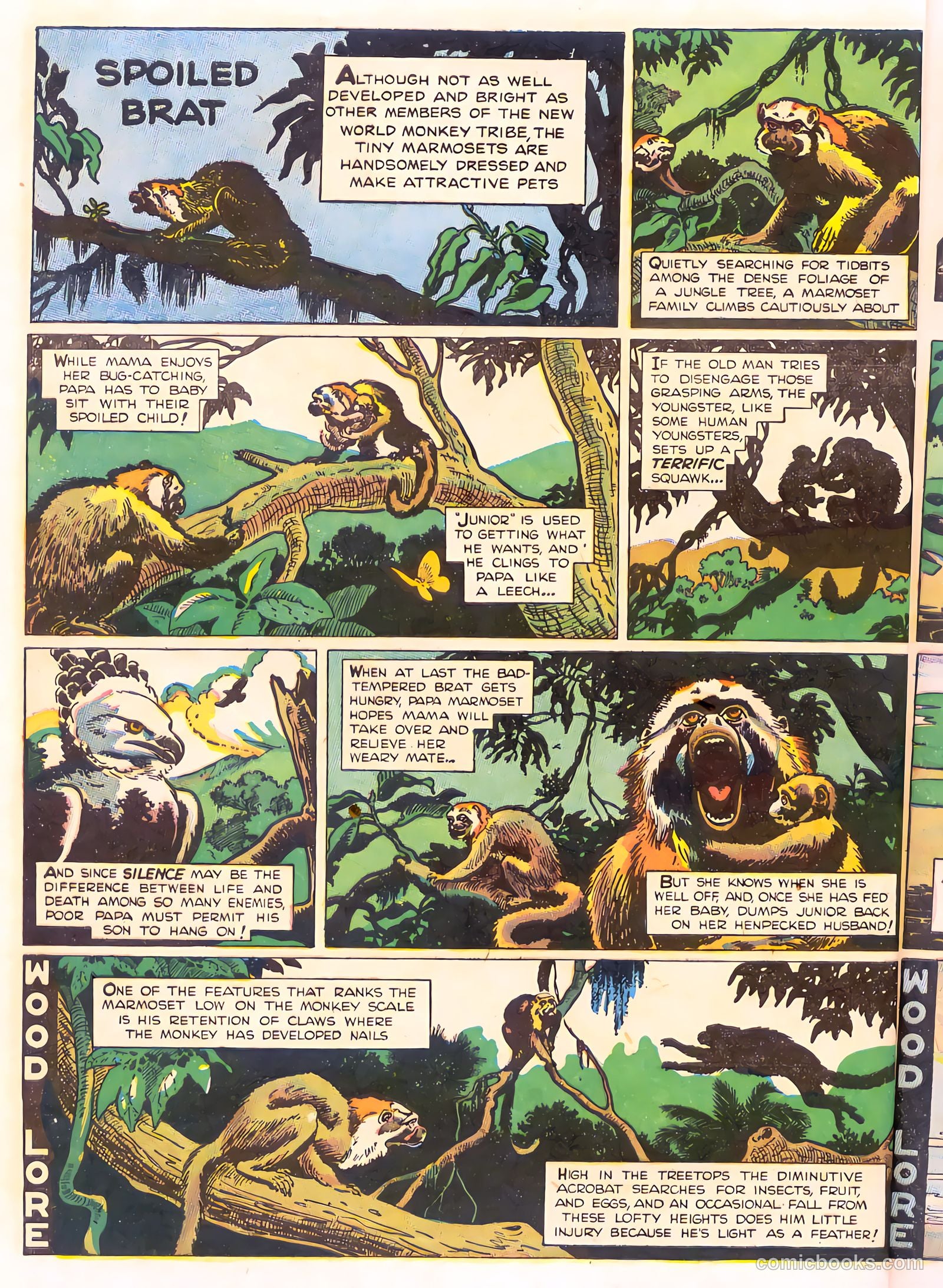 Mark Trail's Adventure Book of Nature #1 — page 24 of 84