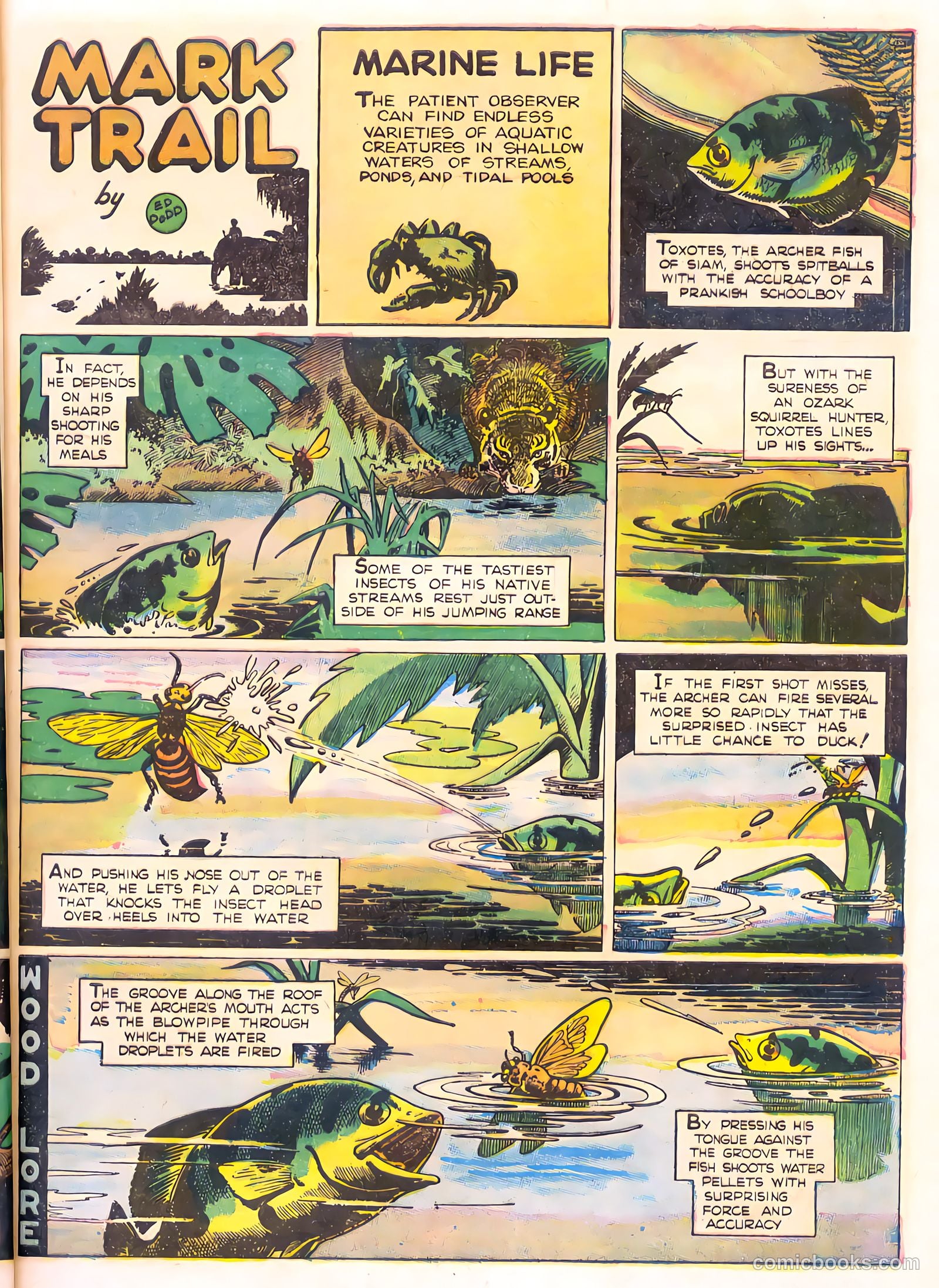 Mark Trail's Adventure Book of Nature #1 — page 25 of 84