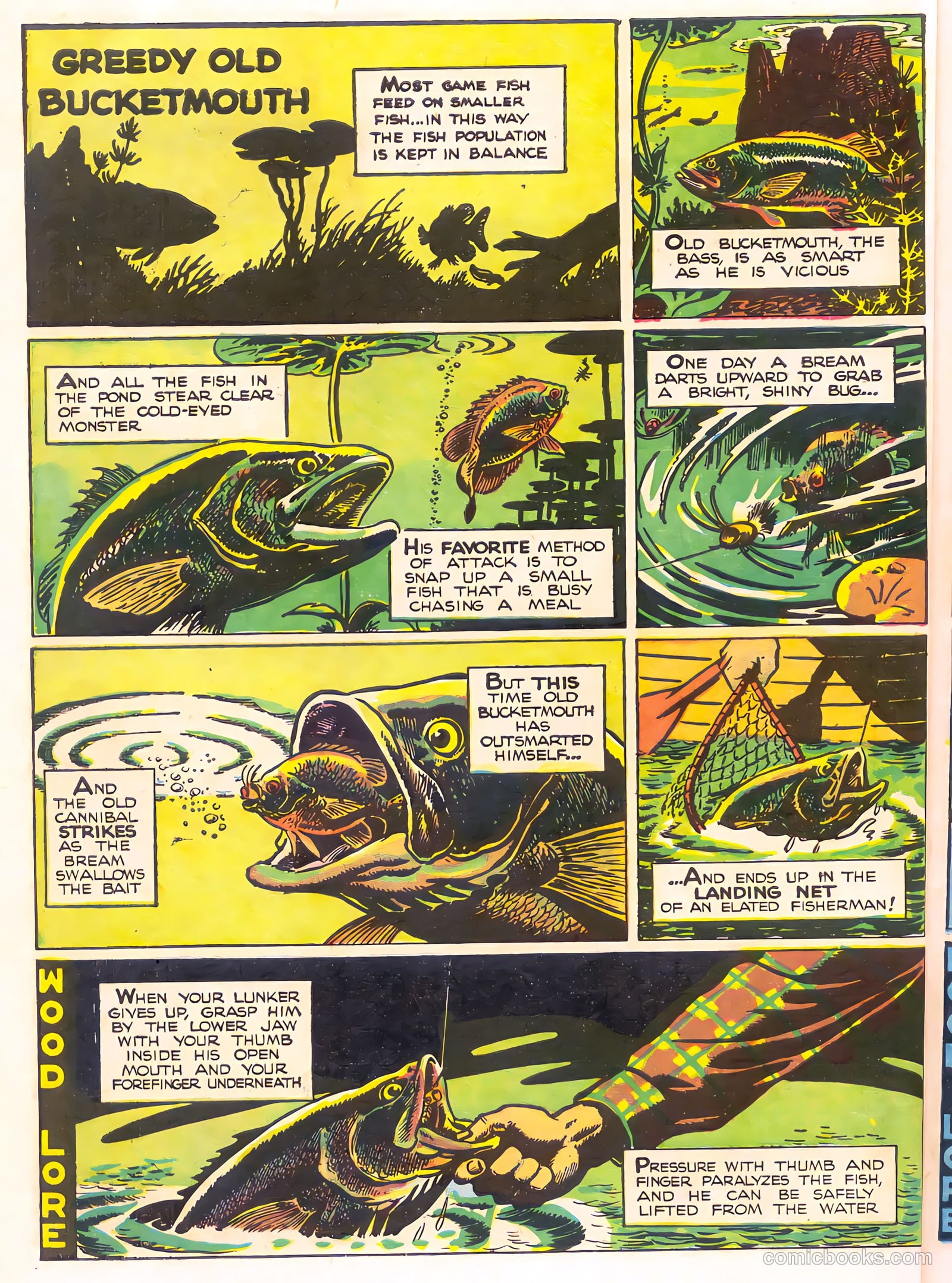 Mark Trail's Adventure Book of Nature #1 — page 26 of 84