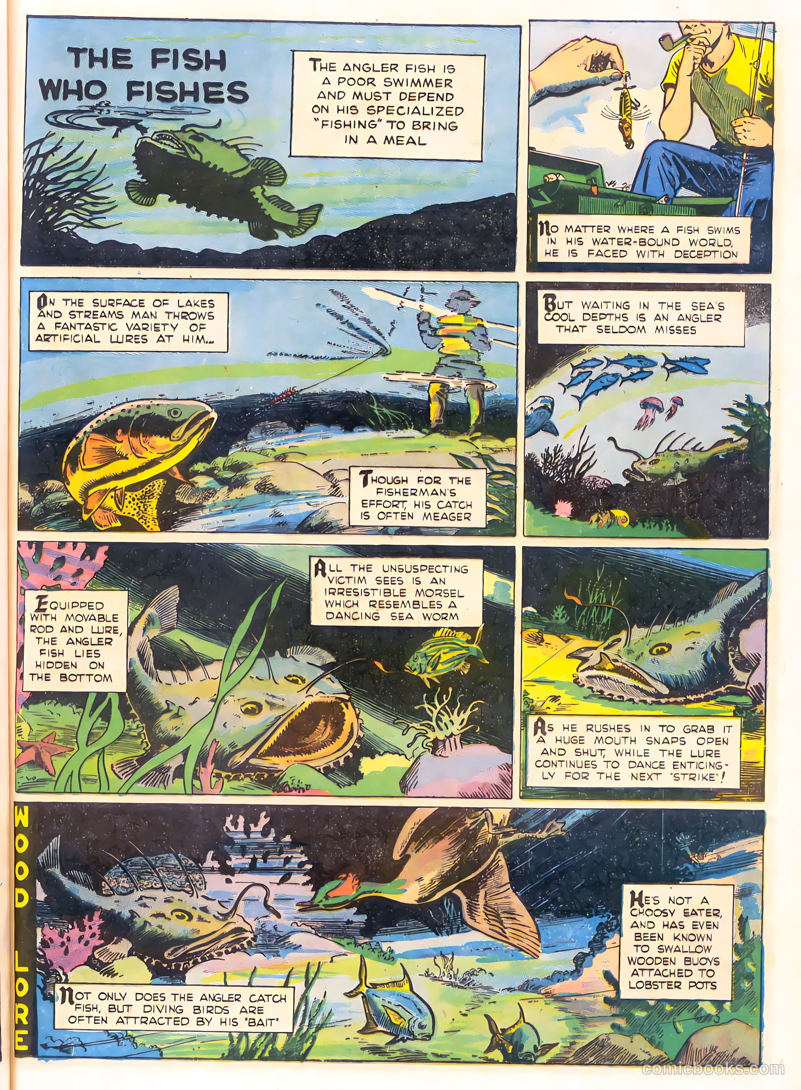 Mark Trail's Adventure Book of Nature #1 — page 29 of 84
