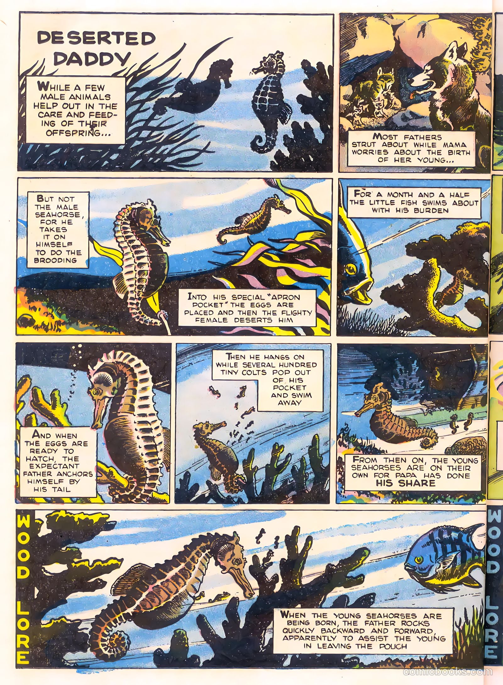 Mark Trail's Adventure Book of Nature #1 — page 32 of 84