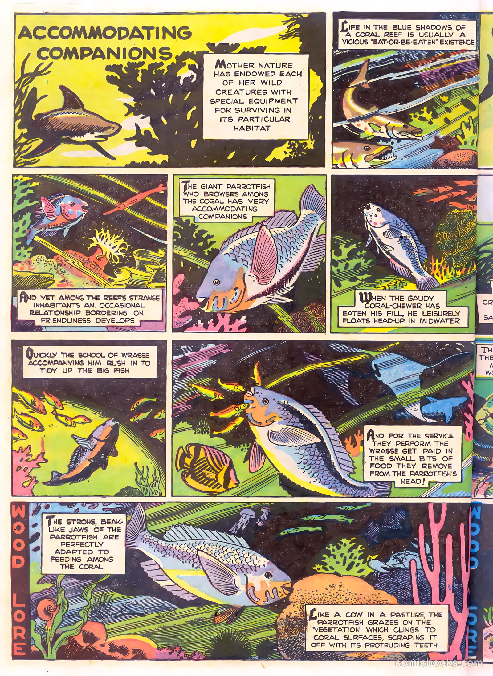 Mark Trail's Adventure Book of Nature #1 — page 34 of 84