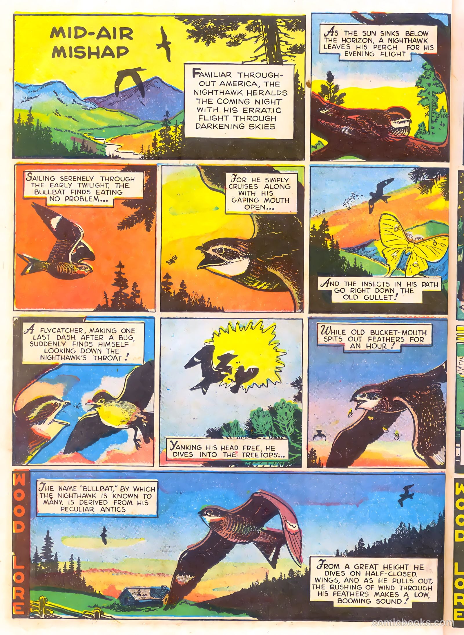 Mark Trail's Adventure Book of Nature #1 — page 38 of 84