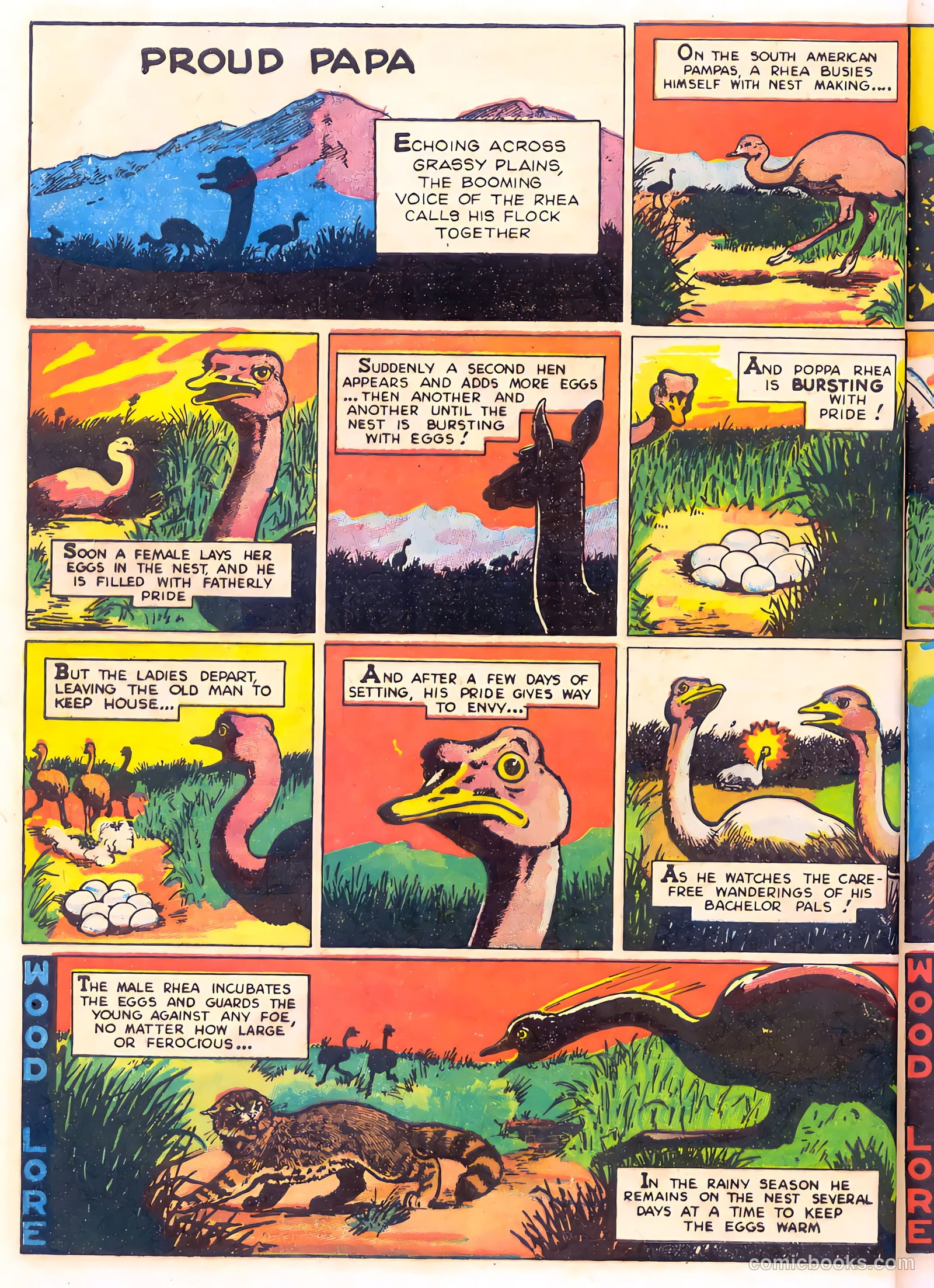 Mark Trail's Adventure Book of Nature #1 — page 40 of 84