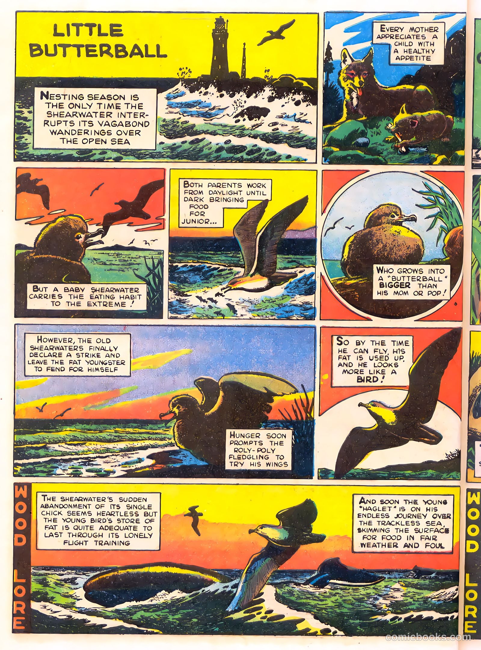 Mark Trail's Adventure Book of Nature #1 — page 44 of 84