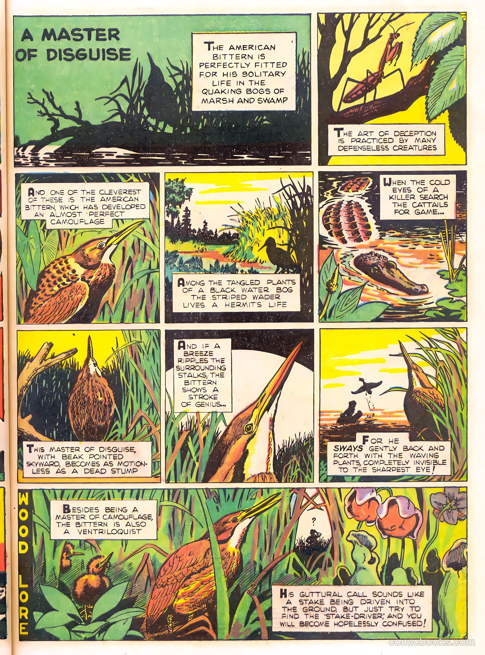 Mark Trail's Adventure Book of Nature #1 — page 45 of 84