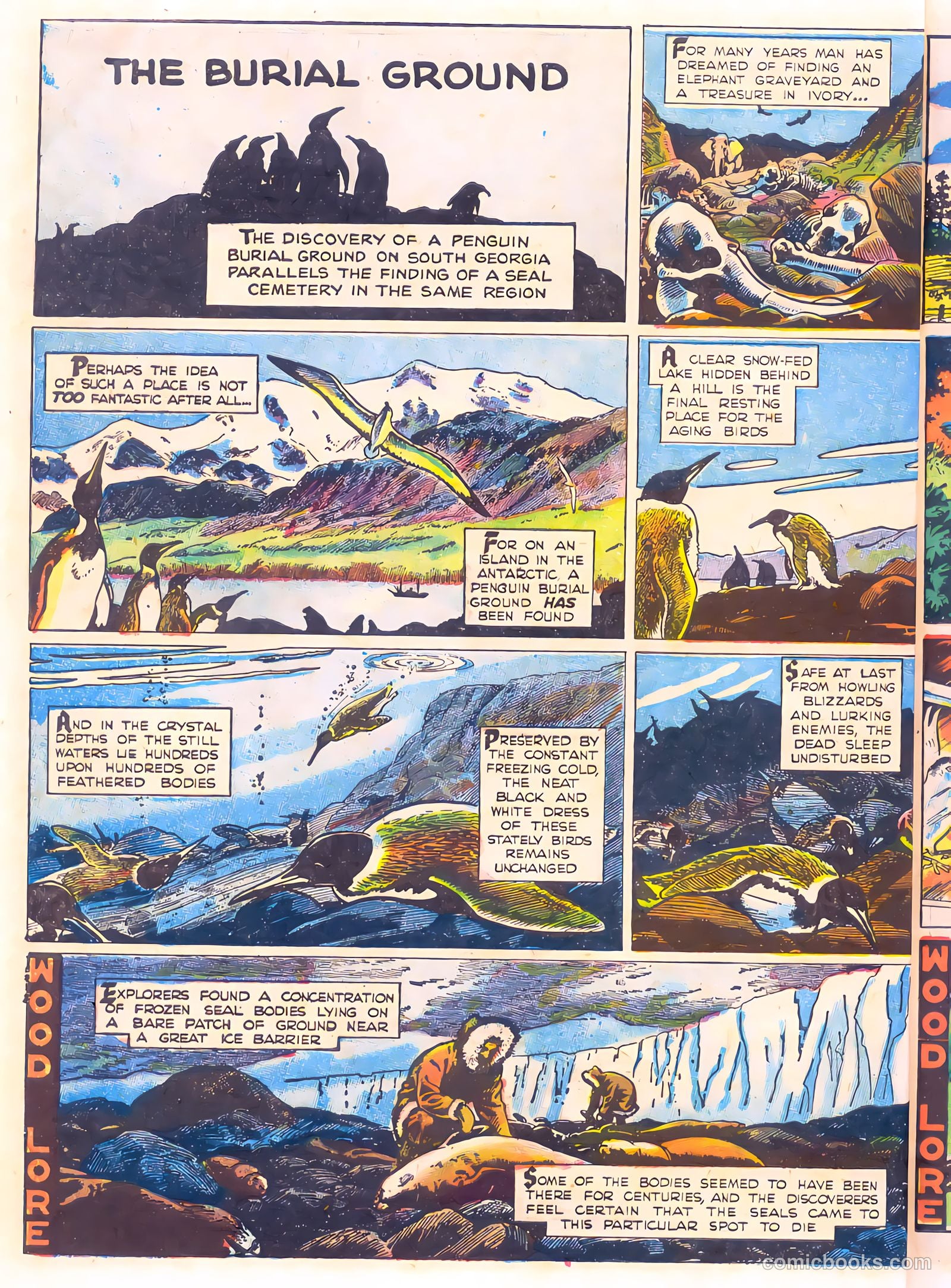 Mark Trail's Adventure Book of Nature #1 — page 46 of 84
