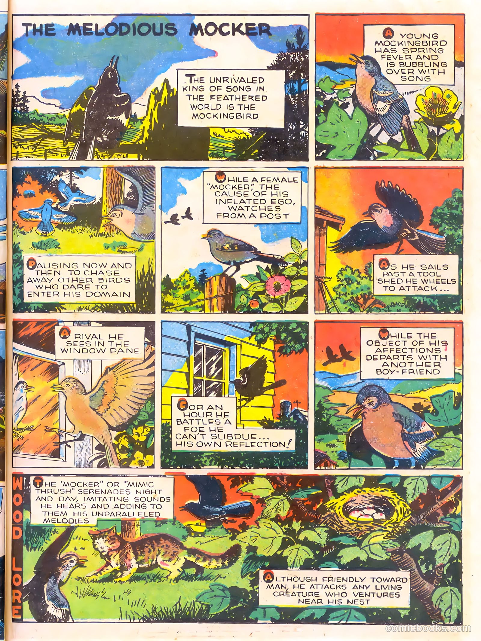 Mark Trail's Adventure Book of Nature #1 — page 47 of 84