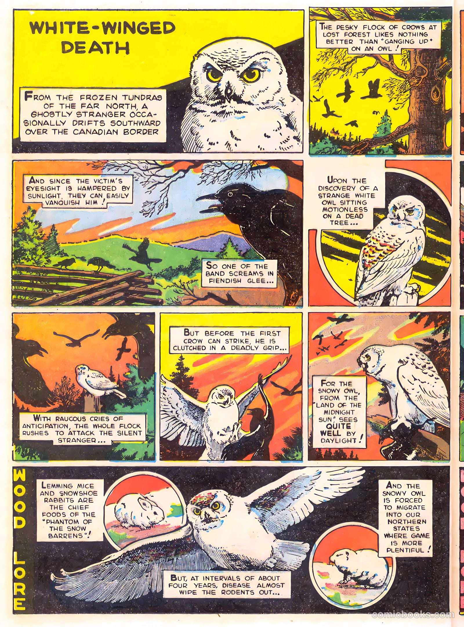 Mark Trail's Adventure Book of Nature #1 — page 48 of 84