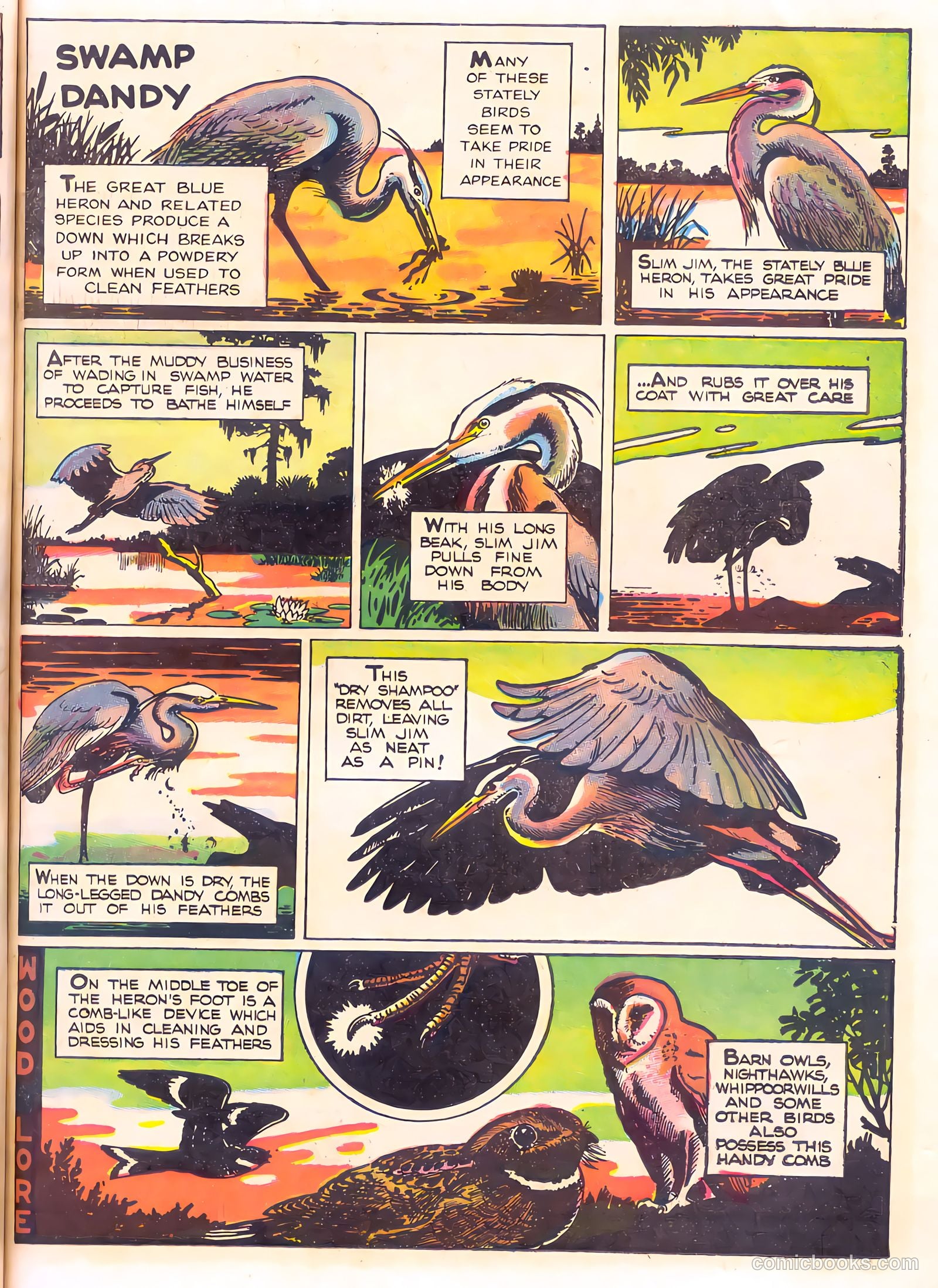 Mark Trail's Adventure Book of Nature #1 — page 51 of 84