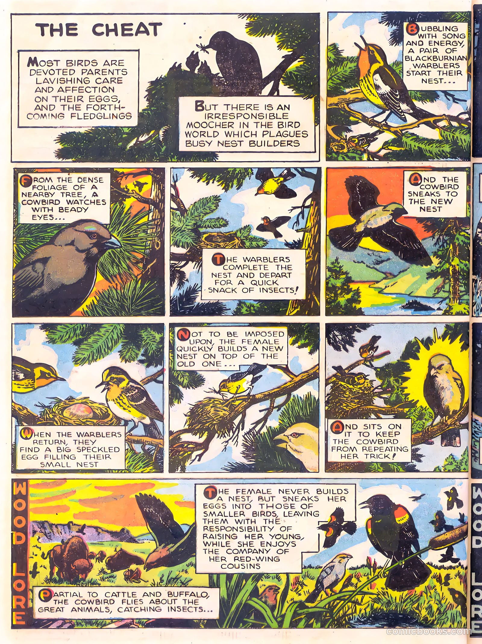 Mark Trail's Adventure Book of Nature #1 — page 52 of 84