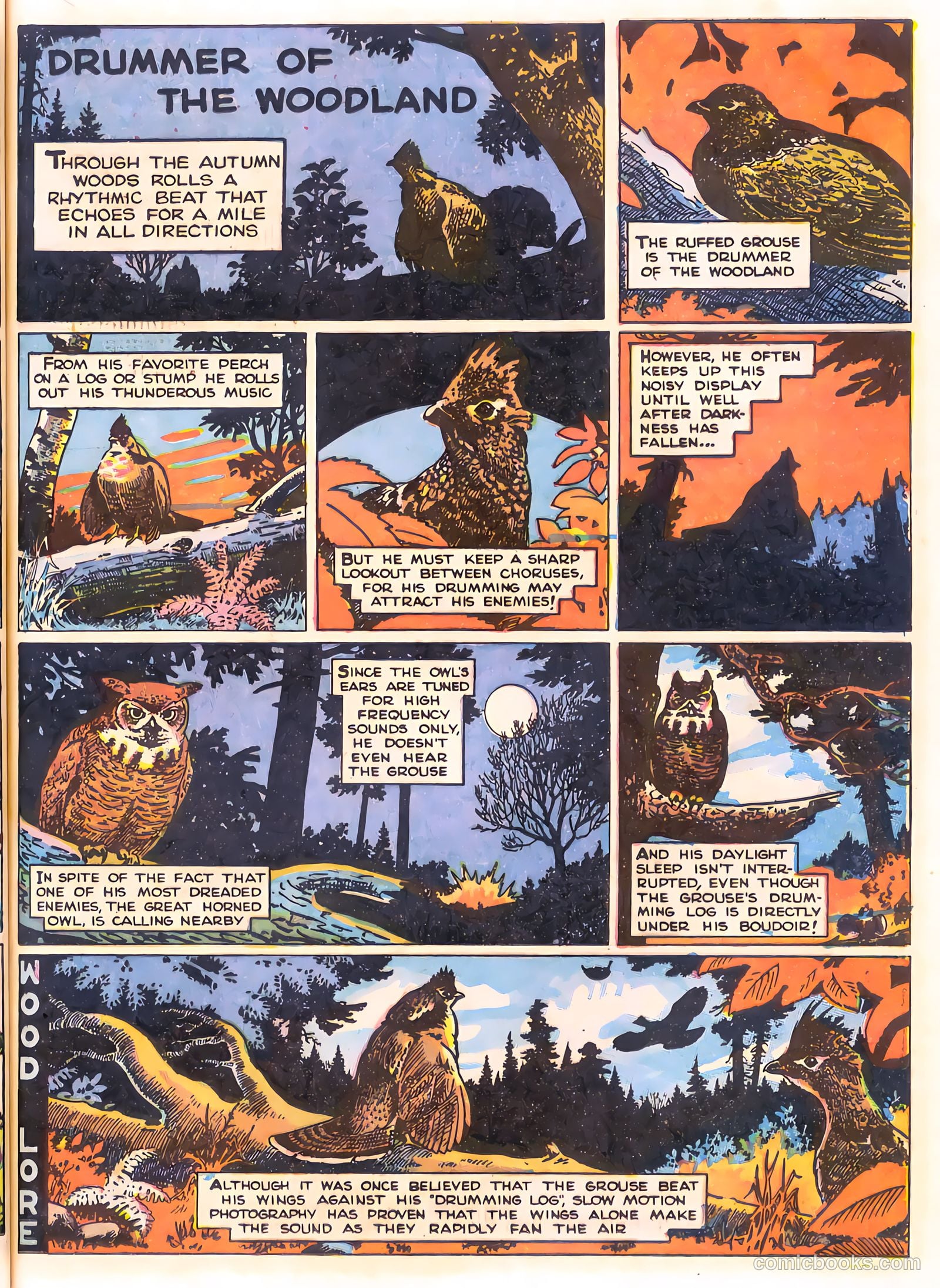 Mark Trail's Adventure Book of Nature #1 — page 53 of 84