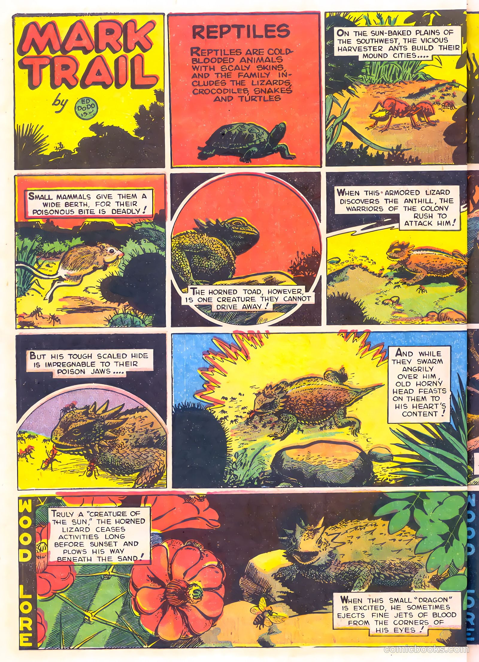 Mark Trail's Adventure Book of Nature #1 — page 54 of 84