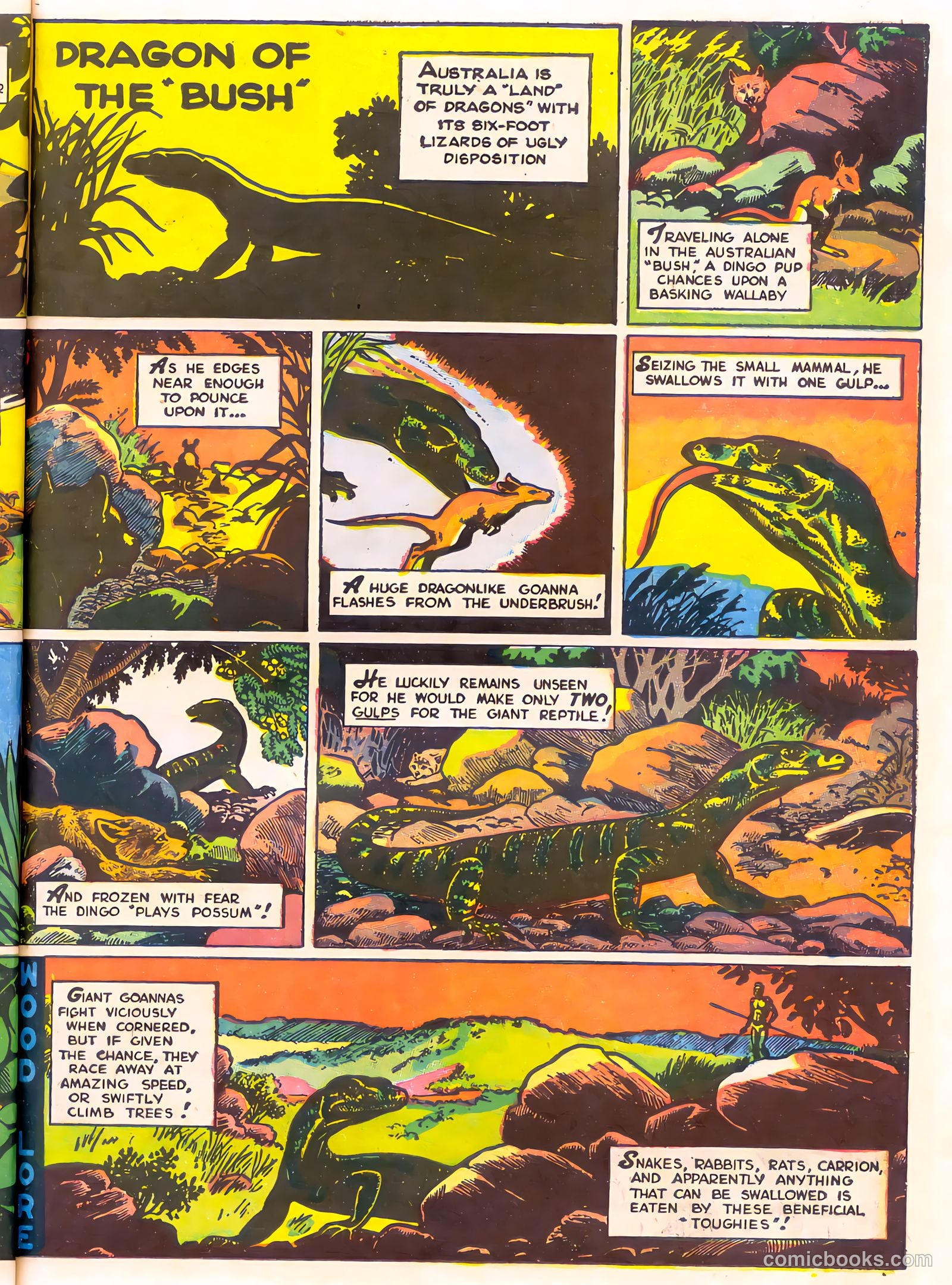 Mark Trail's Adventure Book of Nature #1 — page 55 of 84
