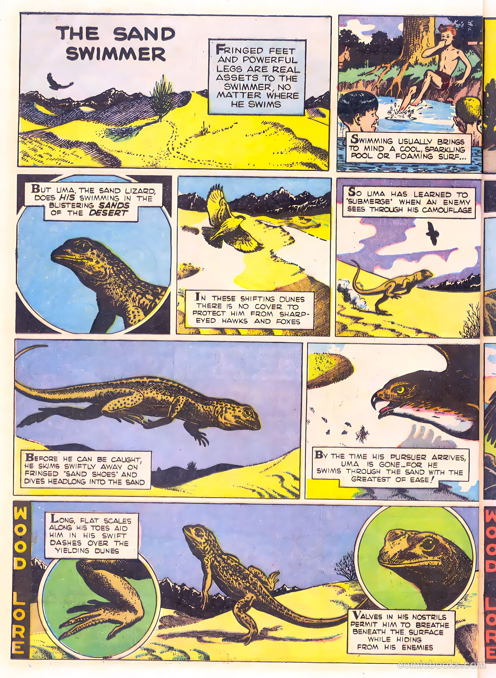Mark Trail's Adventure Book of Nature #1 — page 56 of 84