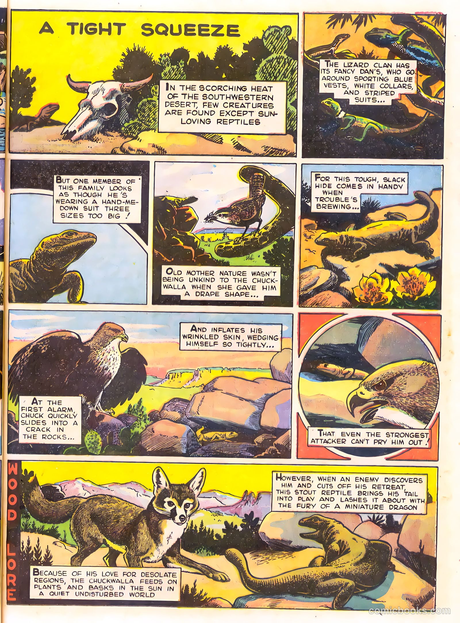 Mark Trail's Adventure Book of Nature #1 — page 57 of 84