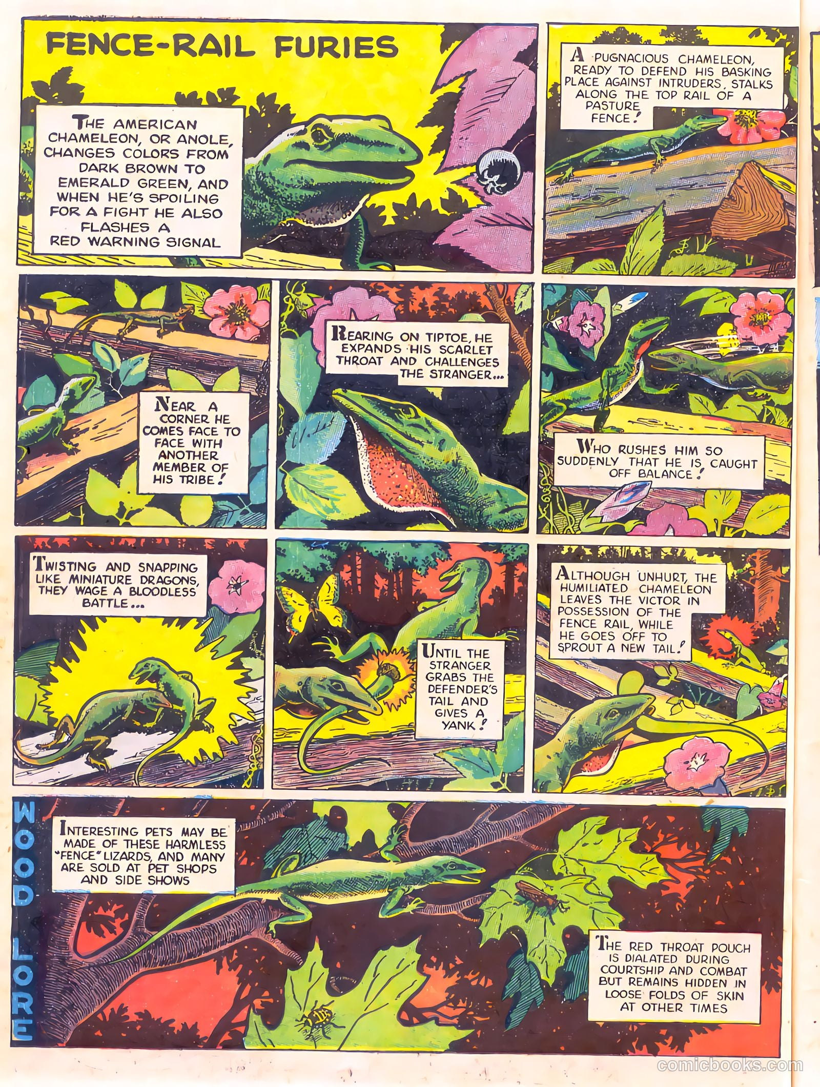 Mark Trail's Adventure Book of Nature #1 — page 58 of 84