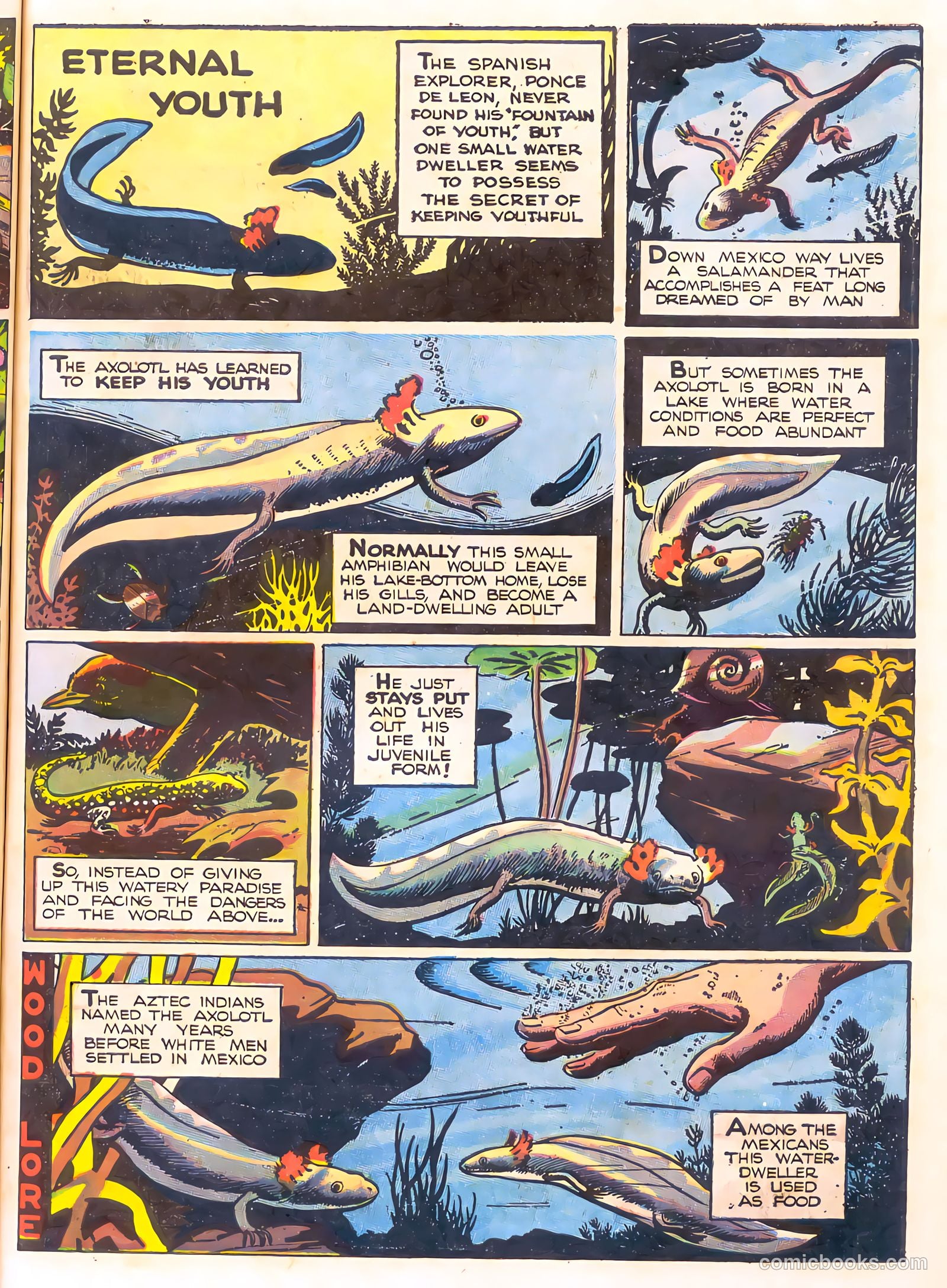 Mark Trail's Adventure Book of Nature #1 — page 59 of 84