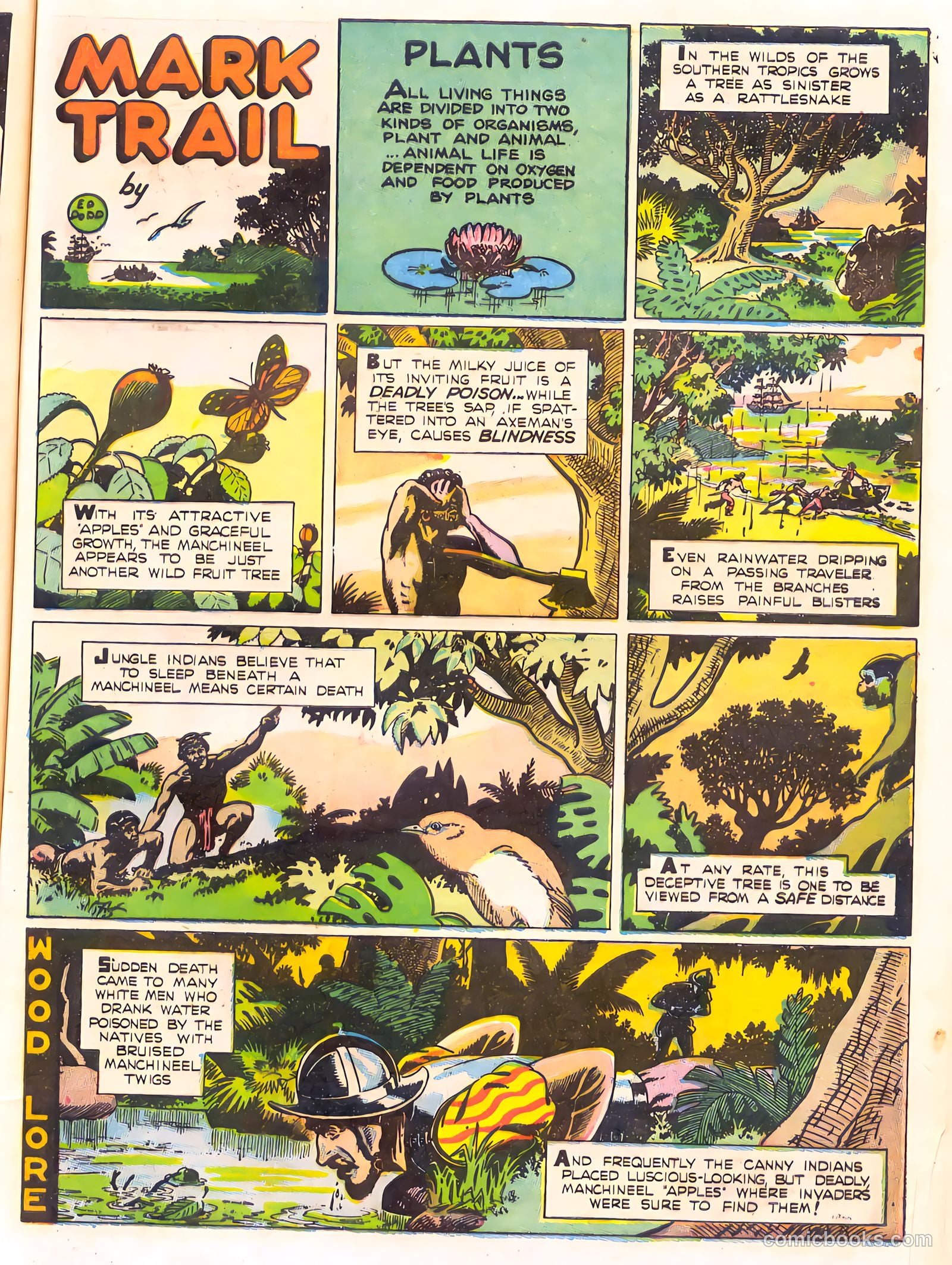 Mark Trail's Adventure Book of Nature #1 — page 61 of 84