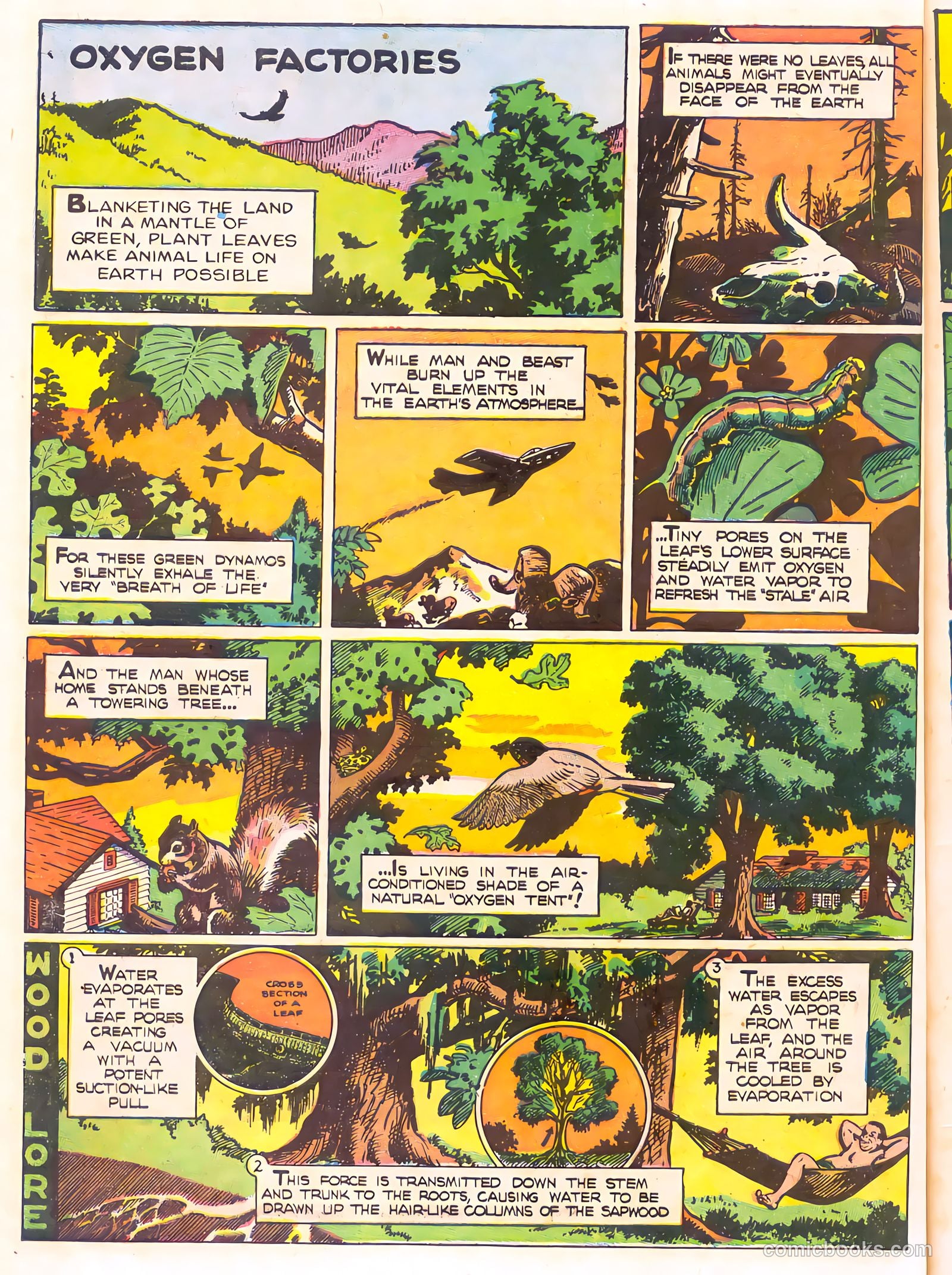 Mark Trail's Adventure Book of Nature #1 — page 62 of 84